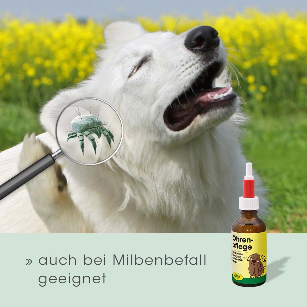 Ohrenpflege 50ml
