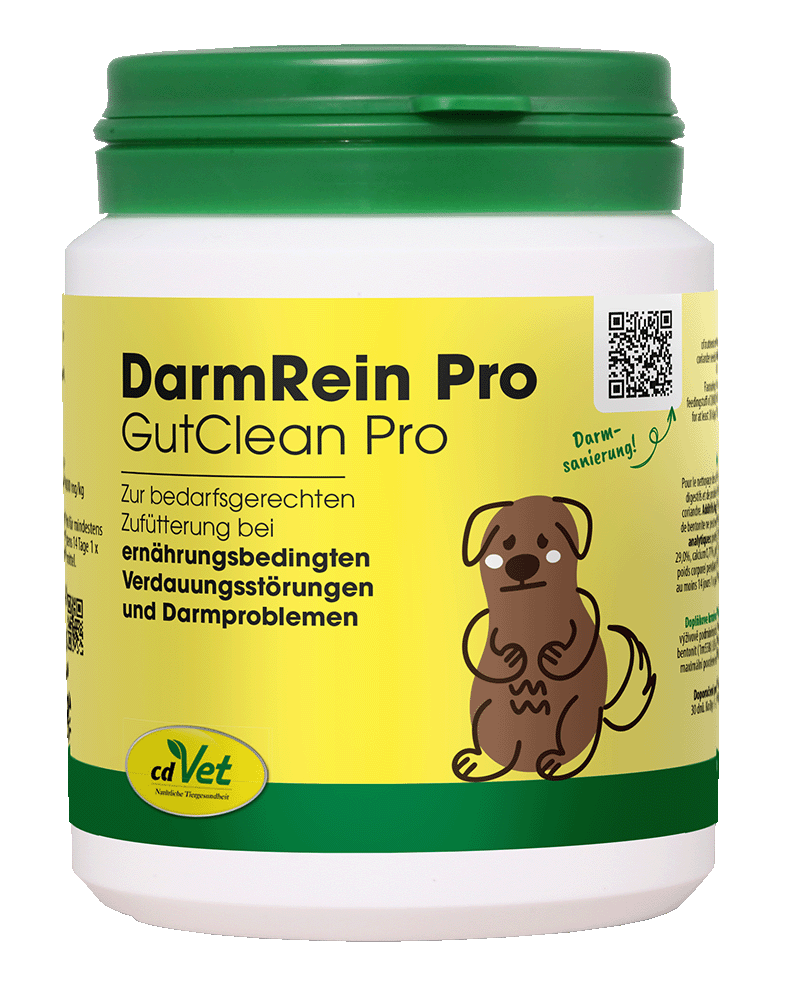 DarmRein Pro 100 g Kräuterig, Kräuter, Pflanze, Astragalus, Krug