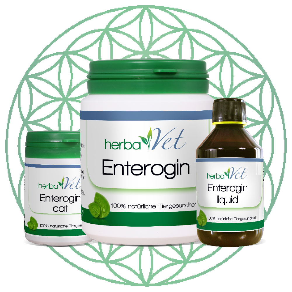 HV-Enterogin Kräuterig, Kräuter, Pflanze, Würzen, Sirup