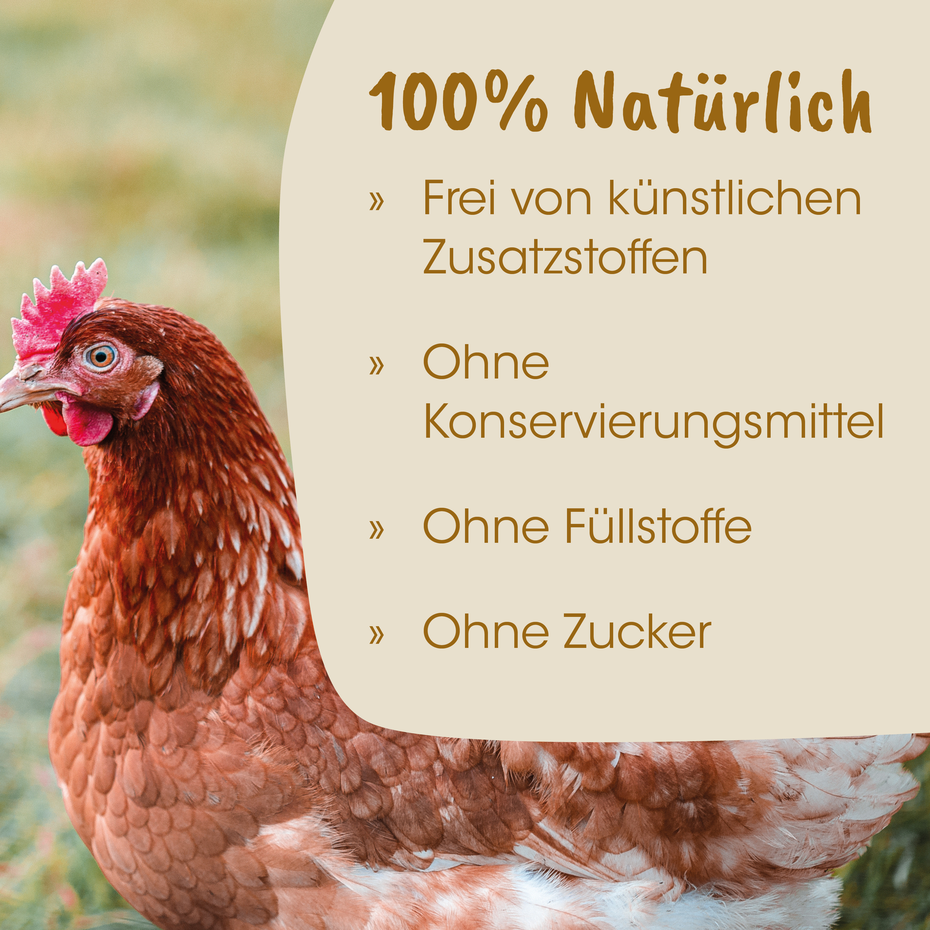 Huhn, Hühnerei?, Huhn auf Grün, Bruteig, Naturprodukt