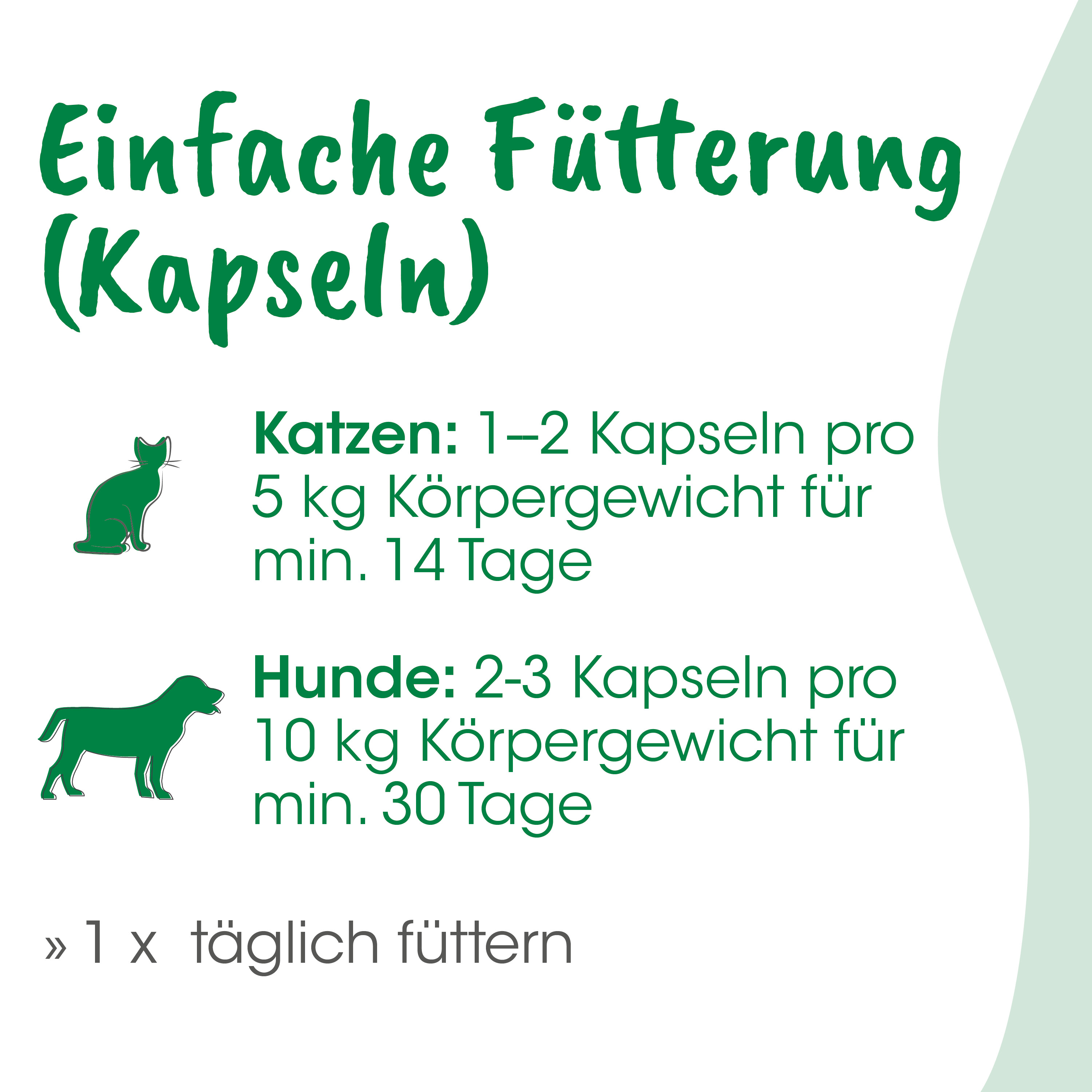 Kapseln, Katzenfutter, Hunde Futter, Tierfutter, Katzen Katzenfutter