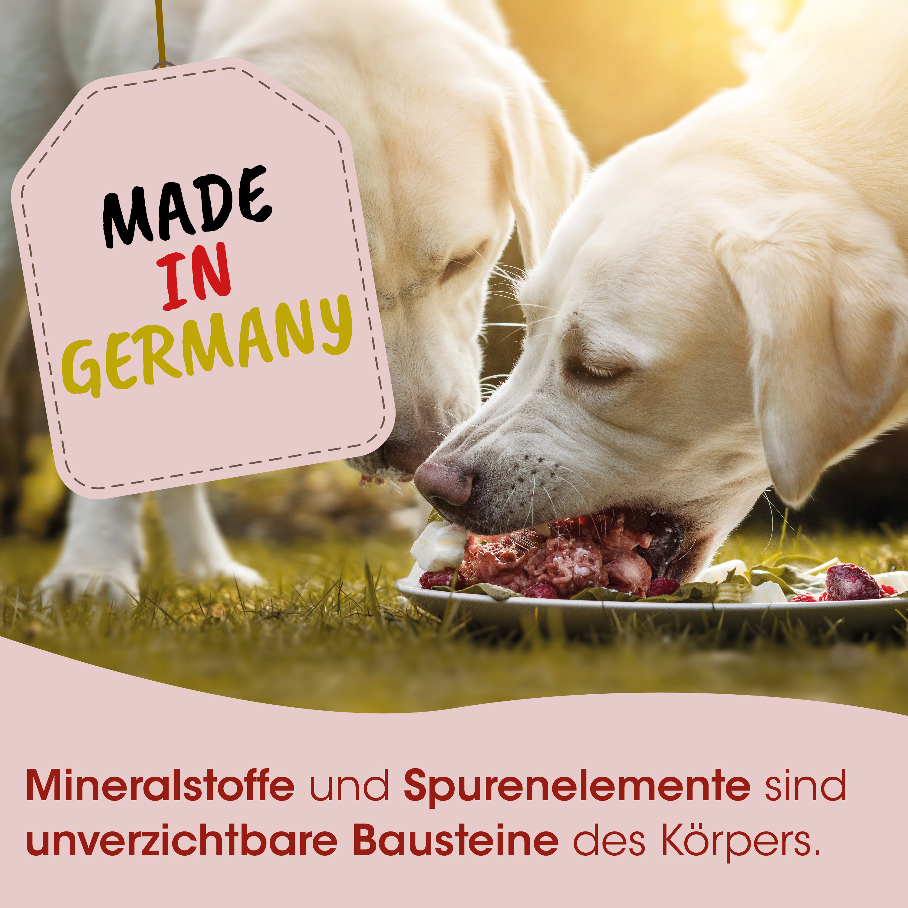 hundefutter, hunde schale, rohes fleisch, knorpel rohstoffe, hergestellt in deutschland