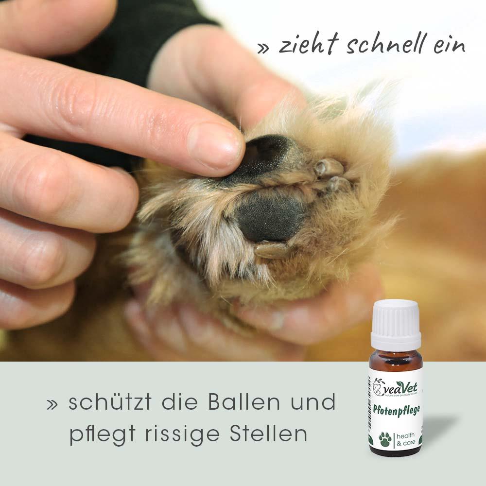 VeaVet Pfotenpflege 10 ml