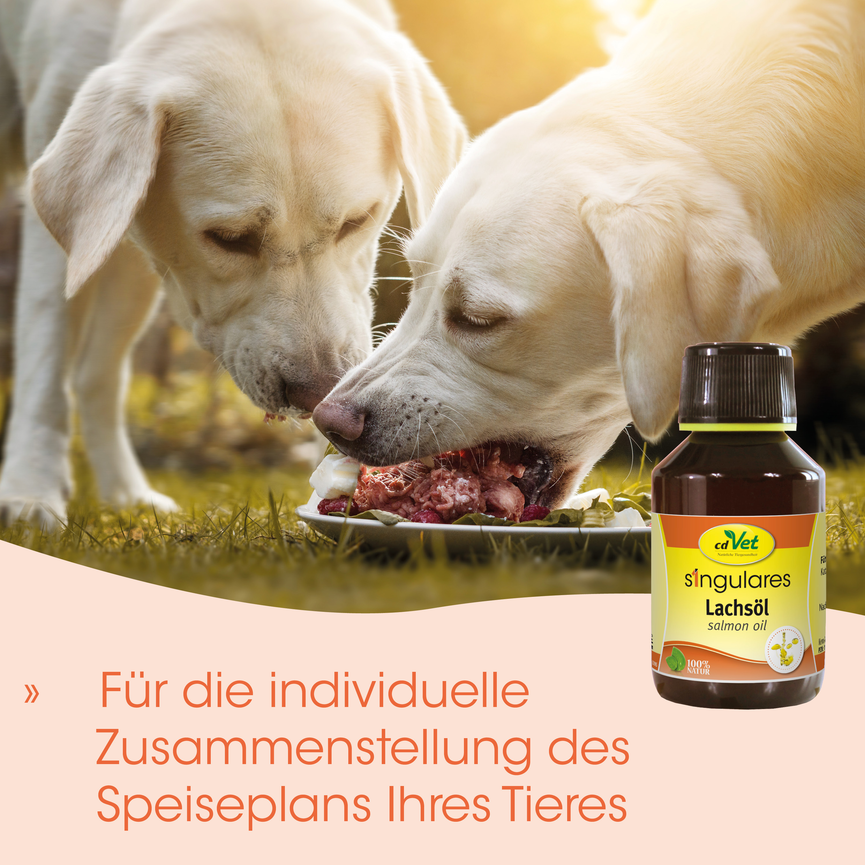 hunde, hundefutter, lachsöl, futterplatte, tiergesundheit