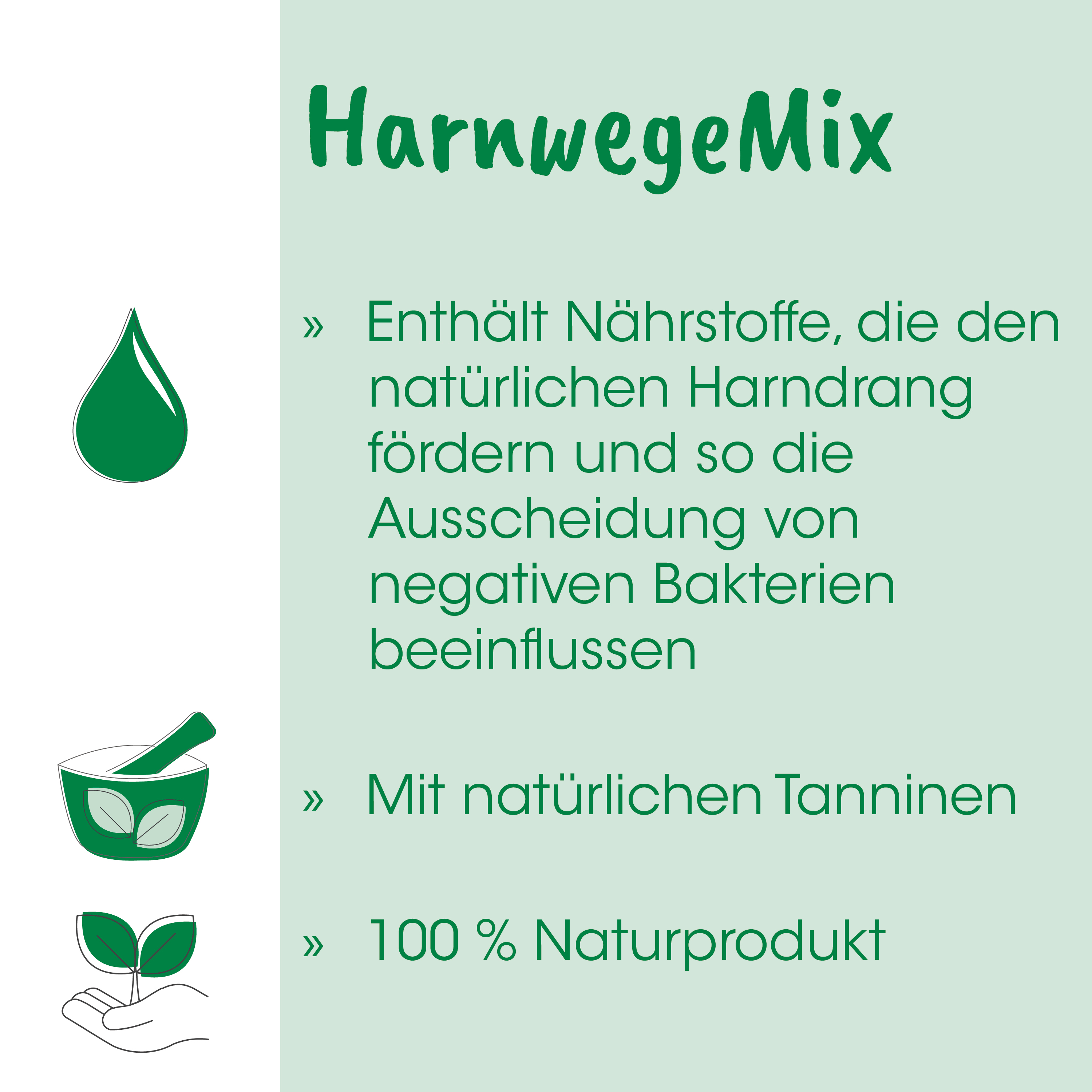 pflanze, natürlich, tannin, naturprodukt, hand
