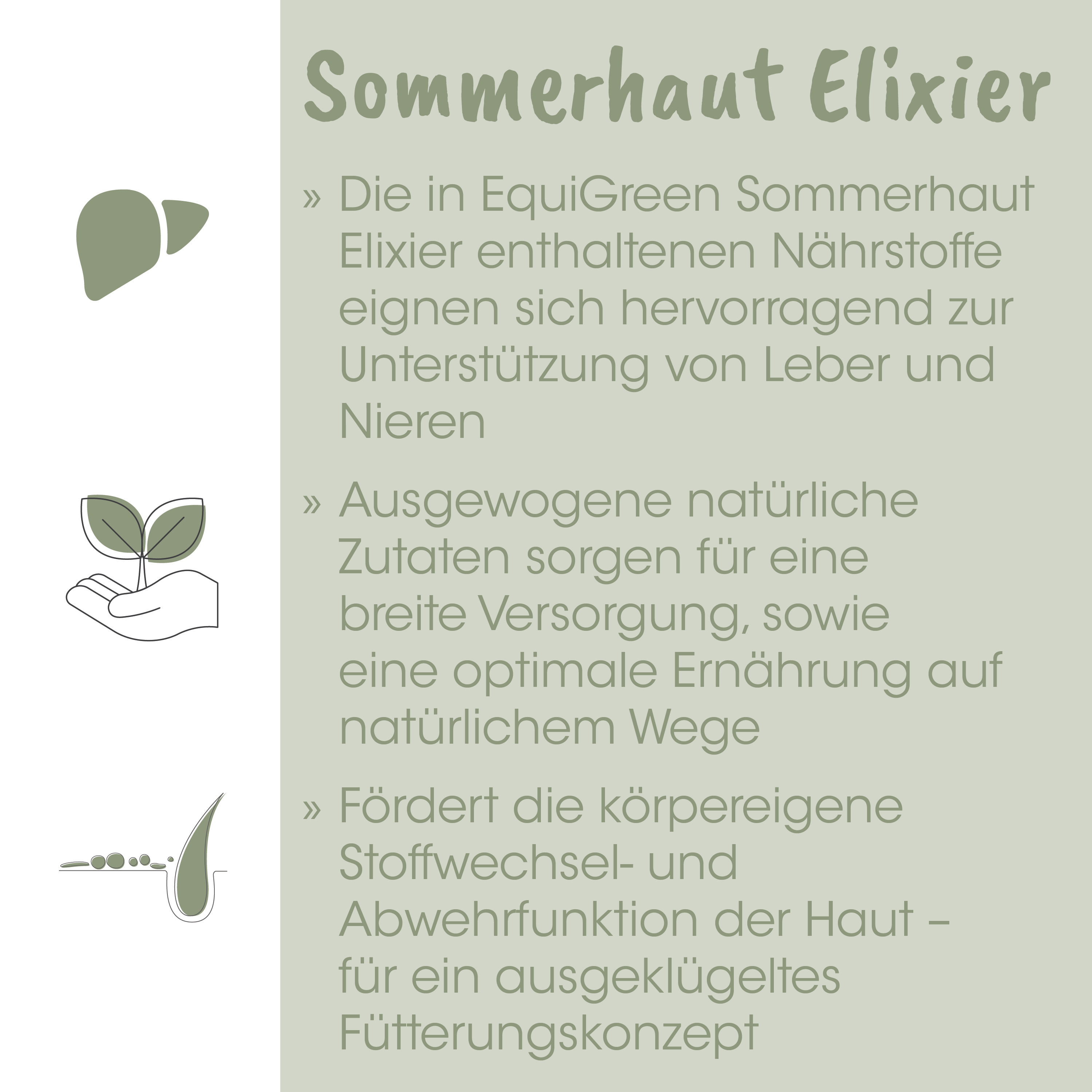 Sommerhanf Elixier, Elixier, Nahrungsergänzung, Naturprodukt, Zutaten