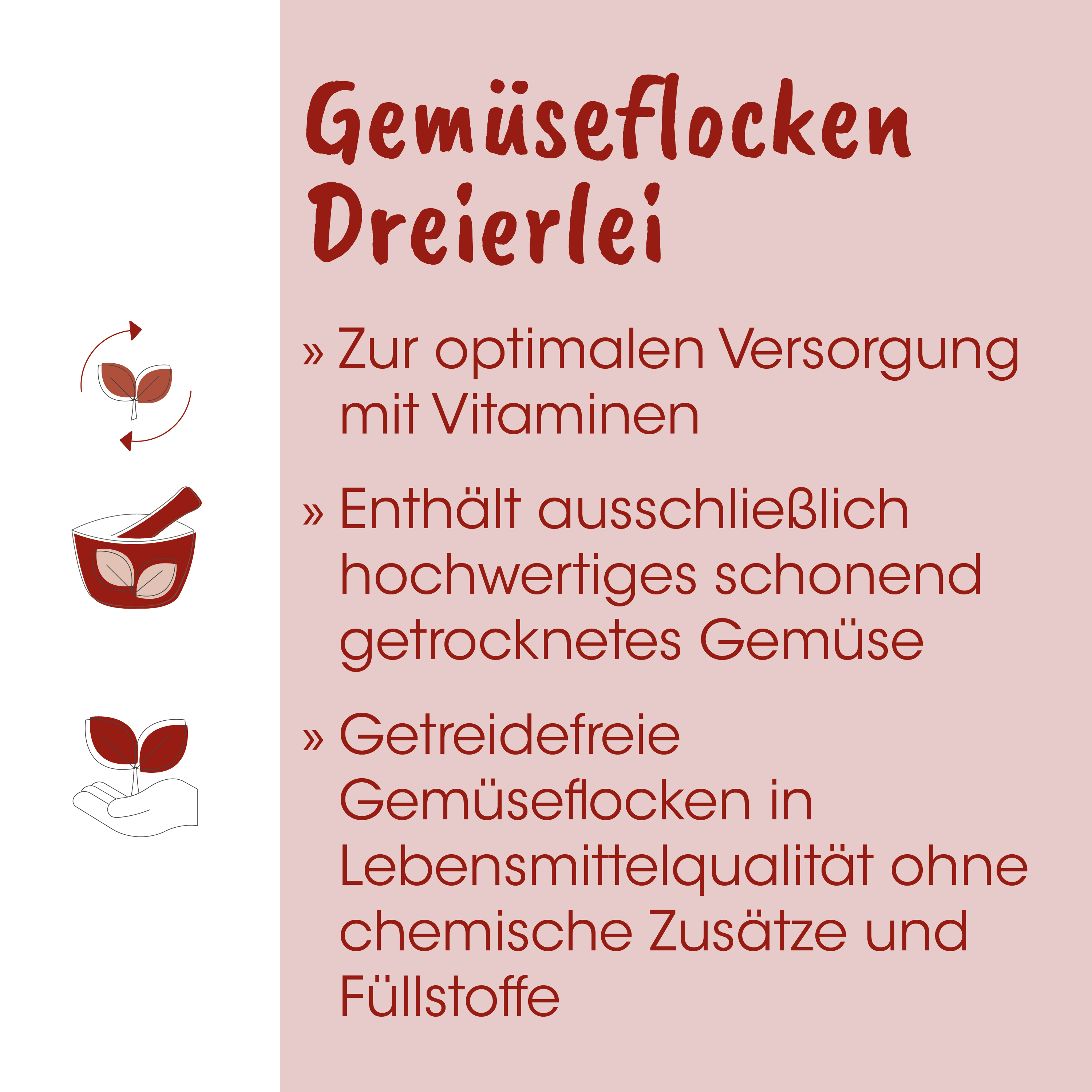 Gemüseflocken, getrocknete Flocken, Vitamine, Zubereitung, Nahrungsmittelzusatz