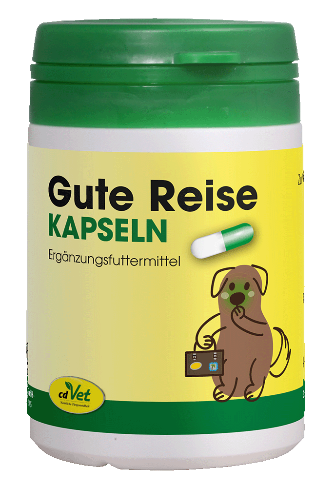 Gute Reise