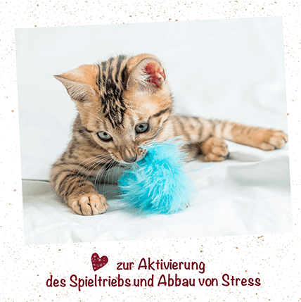 feliTATZ KatzenMinze Spray 100 ml