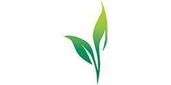 HV-Blat-kleint Kräuterig, Pflanze, Blatt, Grün, Logo, Kräuterig, Pflanze, Blatt, Grün, Logo, Kräuterig, Pflanze, Blatt, Grün, Logo