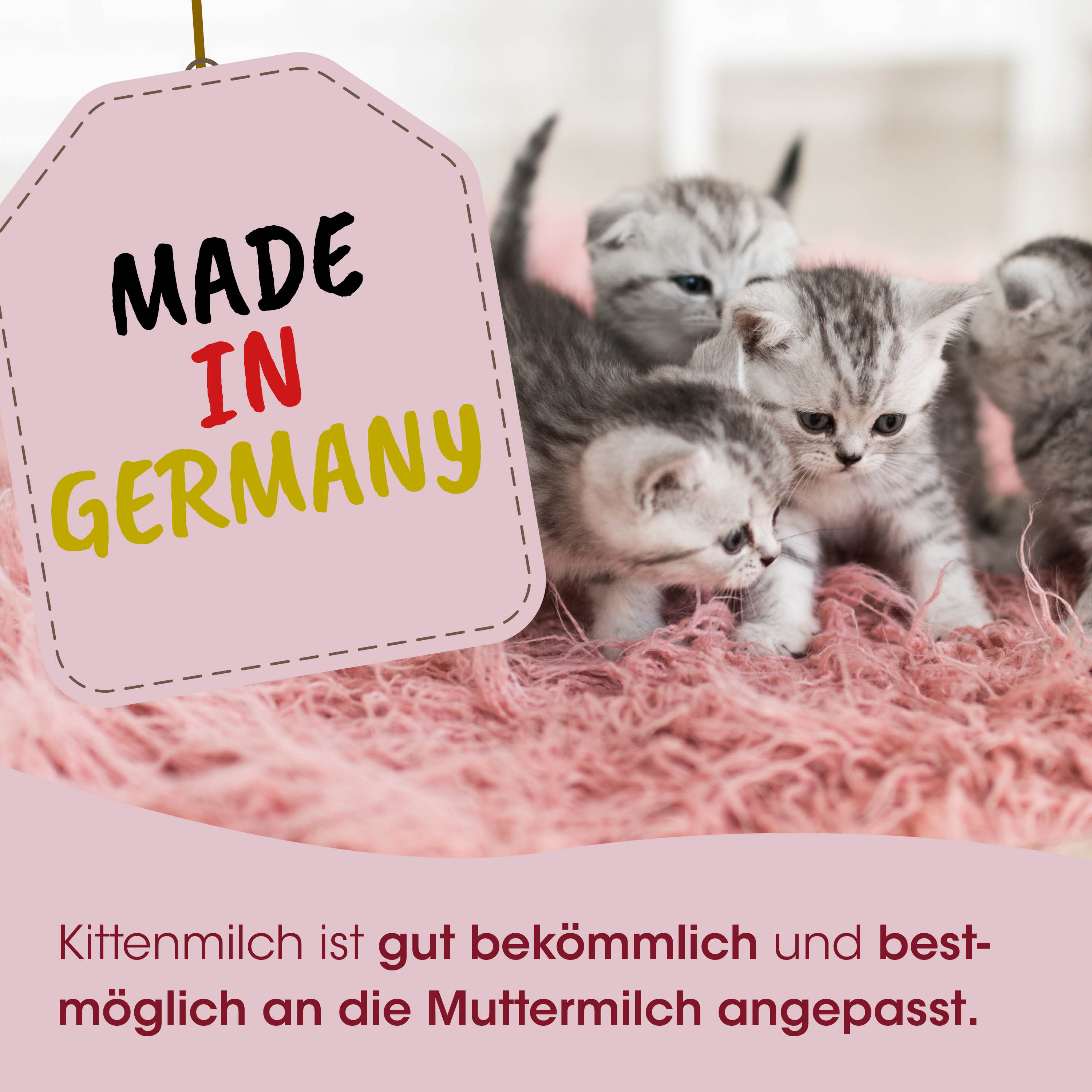 Katzenbabys, Katzenmilch, Made in Germany, Pflegemilch, Pflegemarken