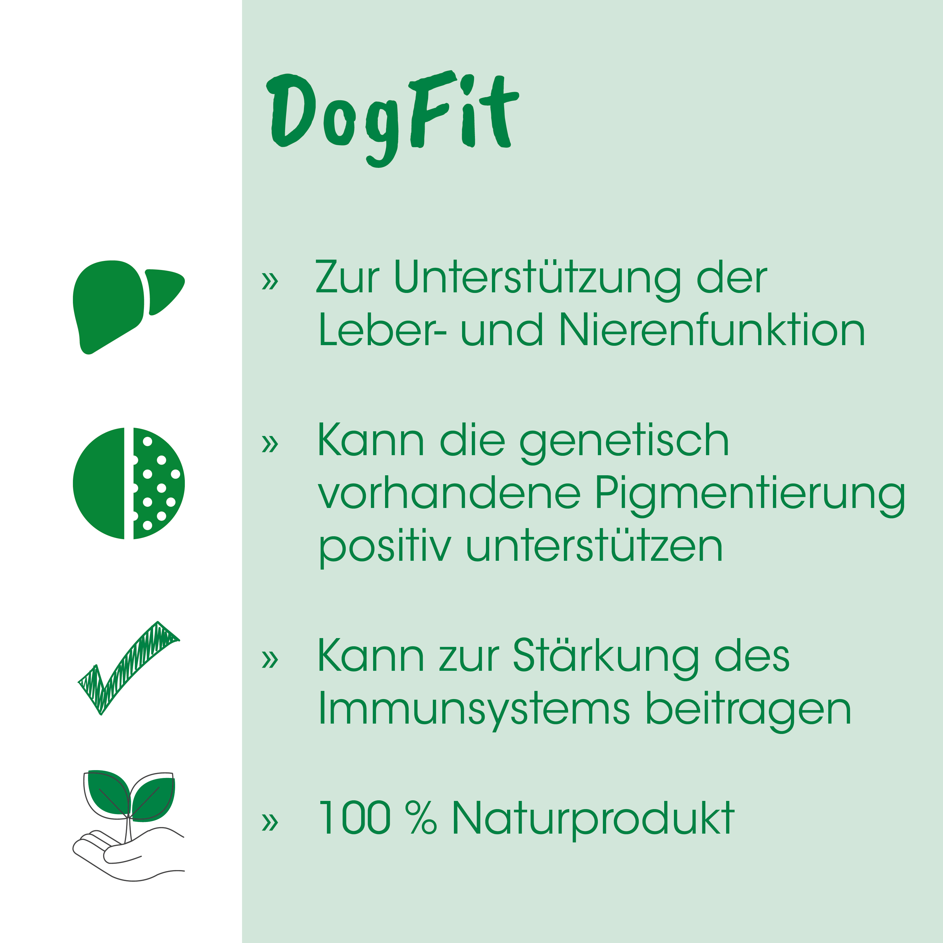 Dog, Fit, Hundefutter, Grün, Blatt