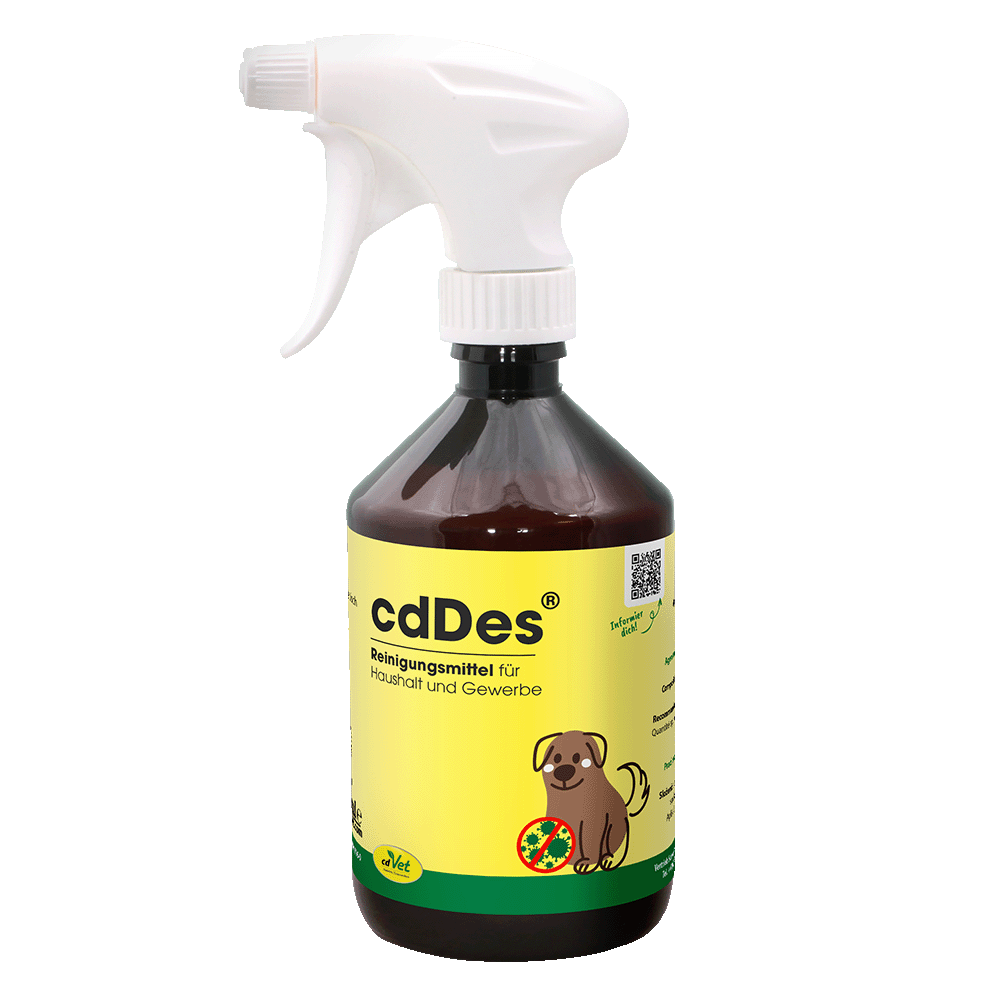 cdDes 500 ml mit Sprühkopf