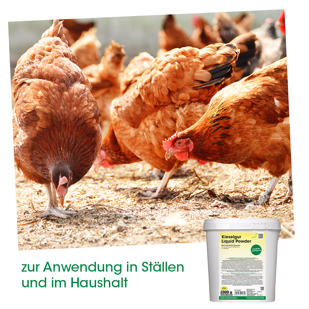 Kieselgur Liquid Powder 2kg