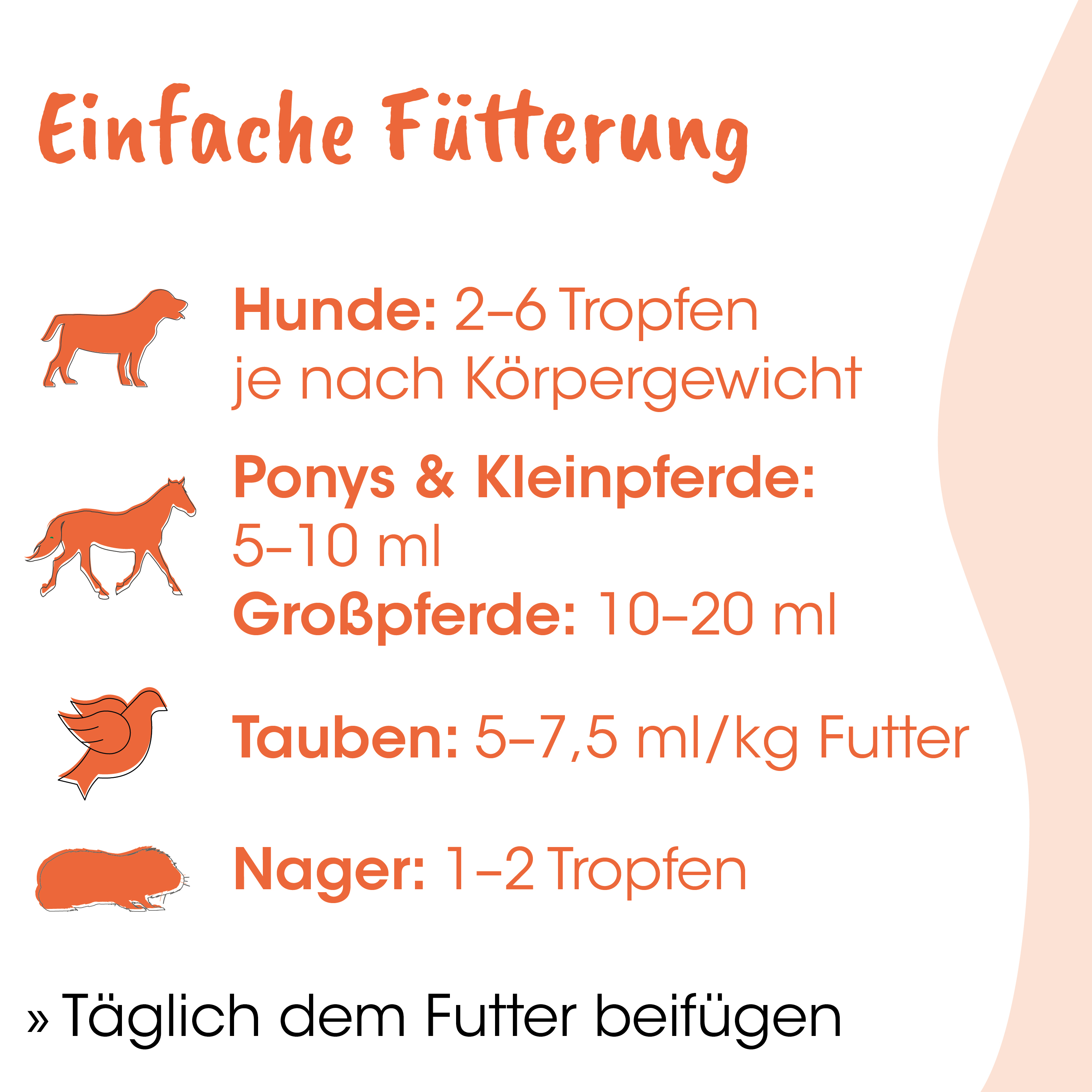 Hund, Katzenfutter, Hunde Futter, Tierfutter, Fütterung