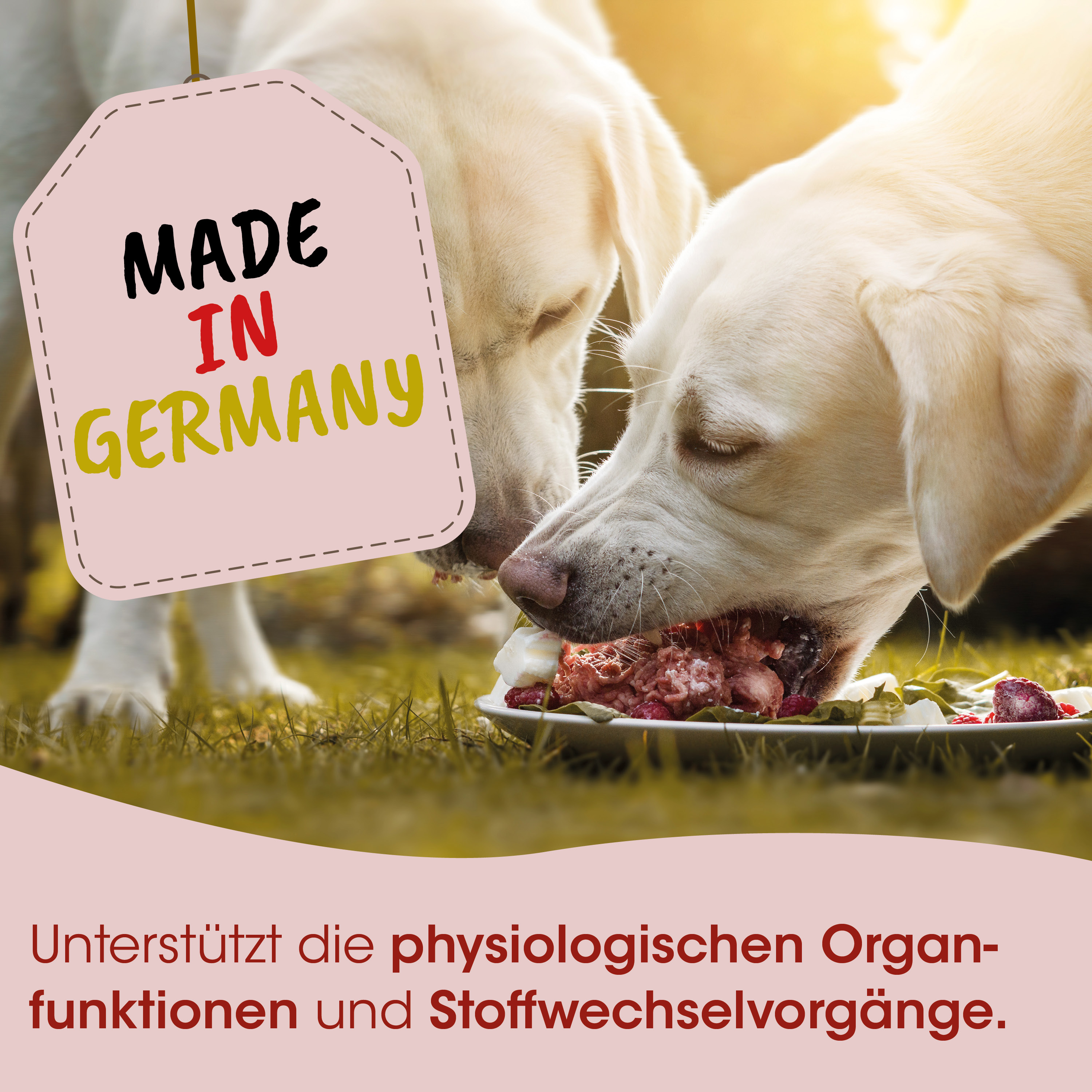 Hundefutter, Rinderfleisch, Nassfutter, Hunde-Mahlzeit, Made in Germany