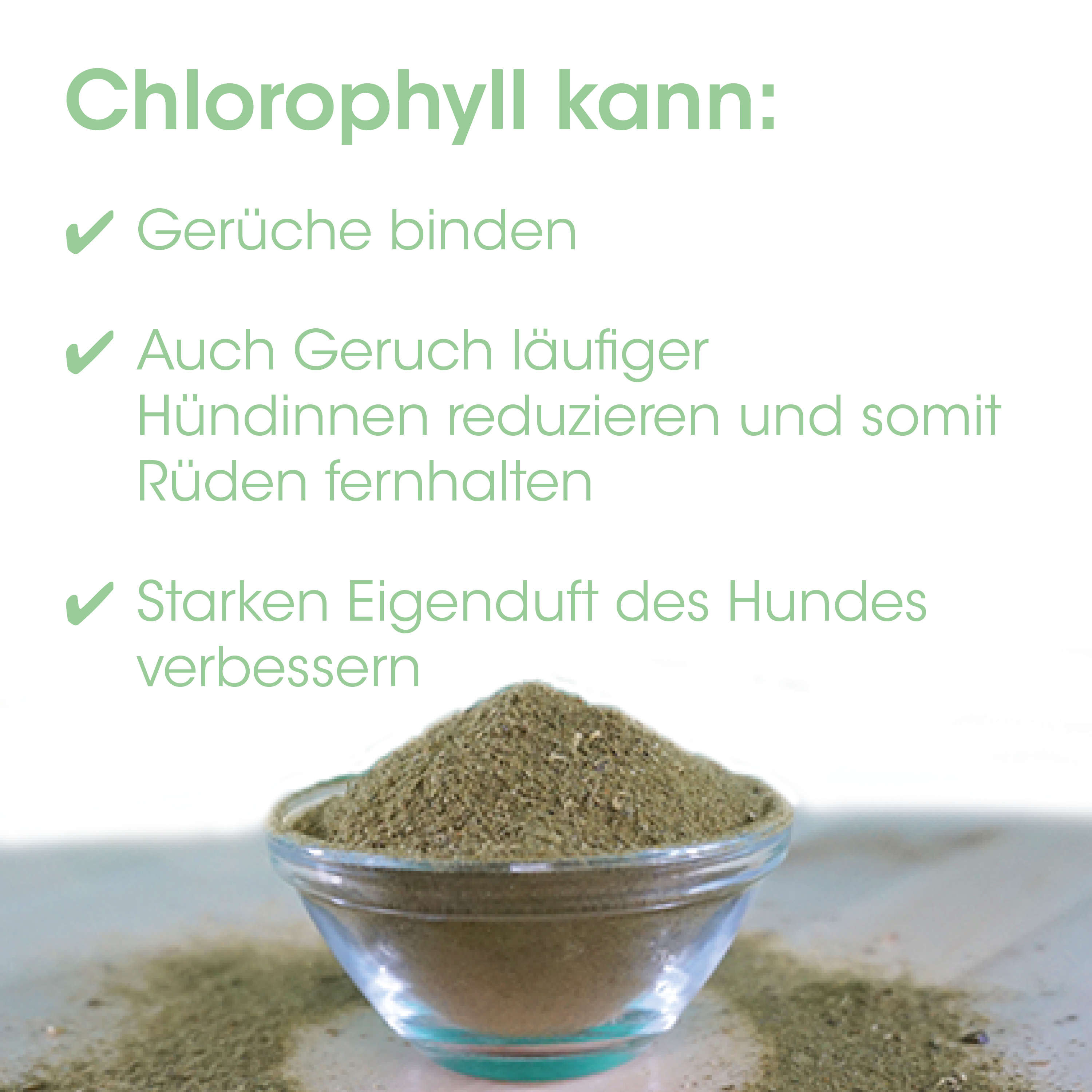 Kräuterpulver, Grüner Tee, Pflanzenpulver, Gewürz, Glasgefäß