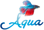 Aquaristik