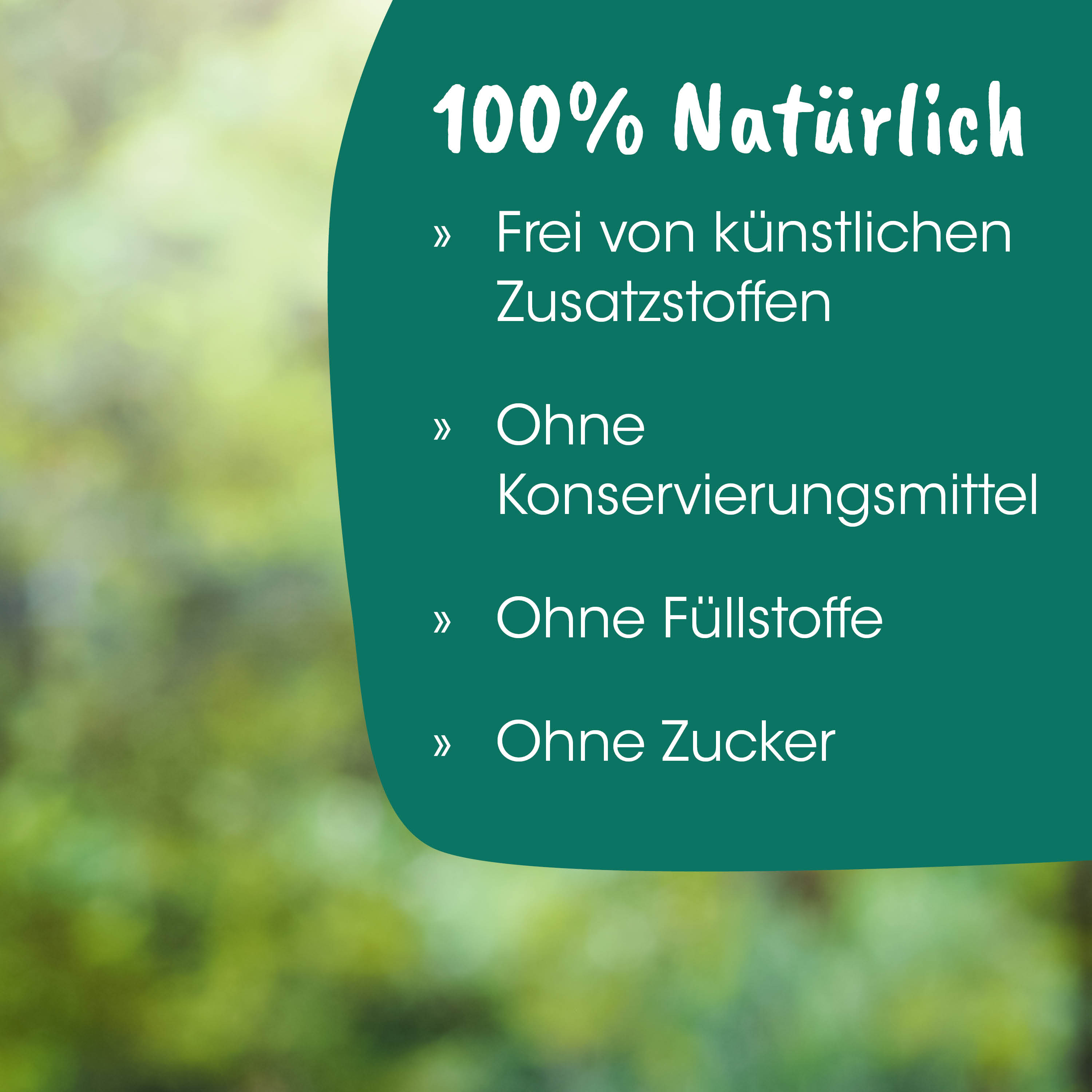 eco, grün, Etikett, natürlich, Umwelt