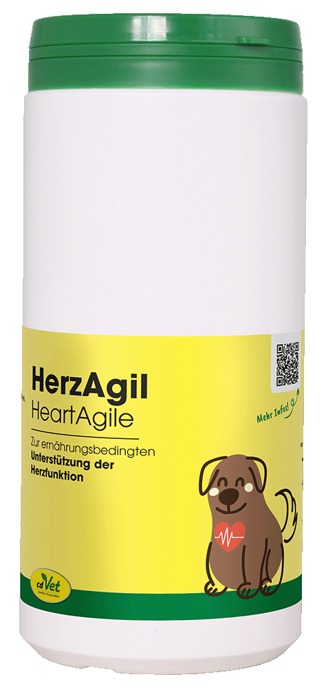 Hund, Nahrungsergänzung, Herz, Kapseln, Tierarzt