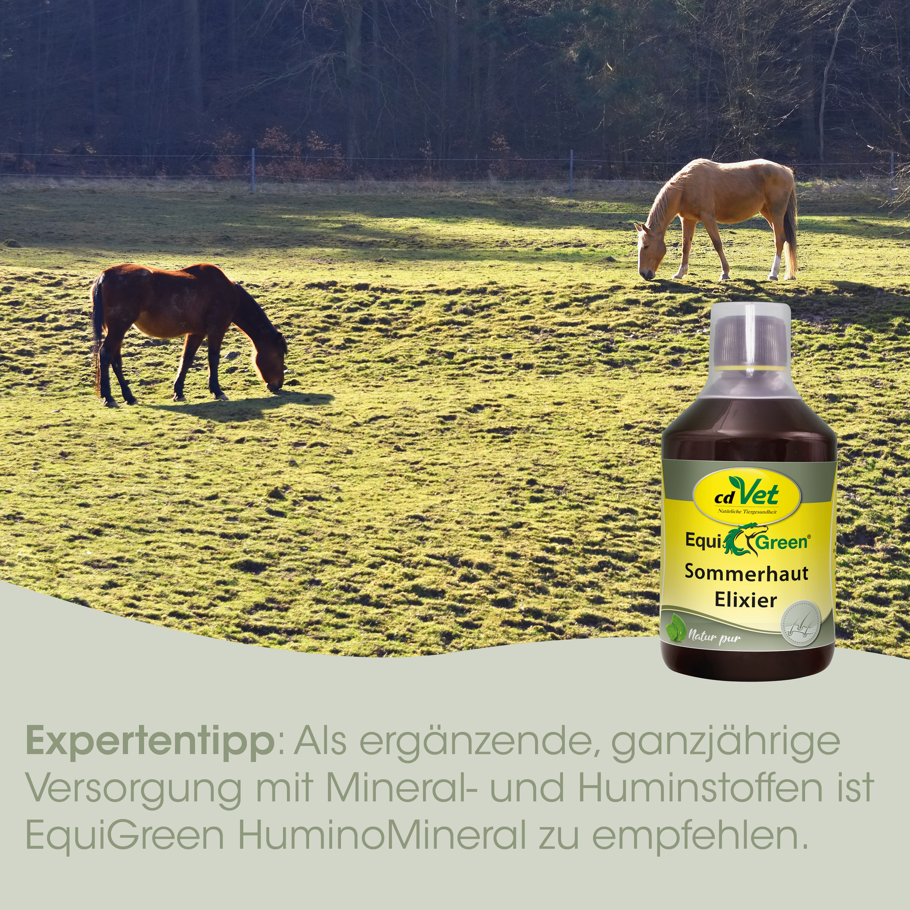 EquiGreen Sommerhaut Elixier 5 L
