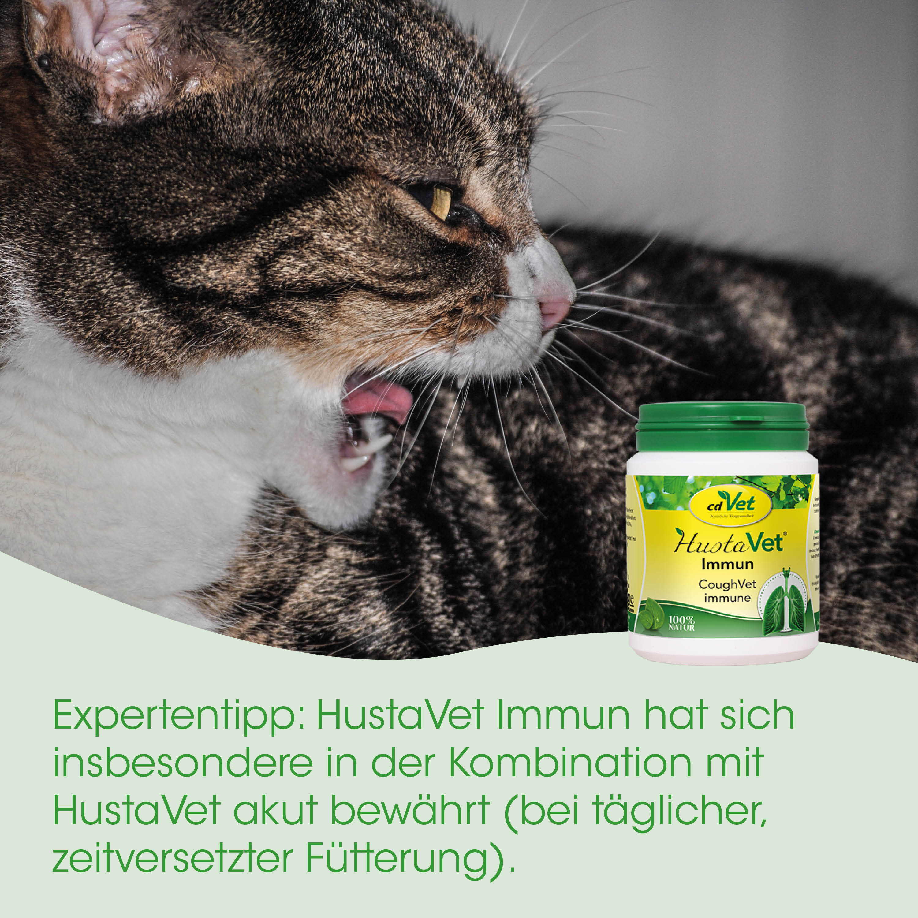 Katzenfutter, Katzenmedizin, Katzensupplement, Immun, Hustenvet