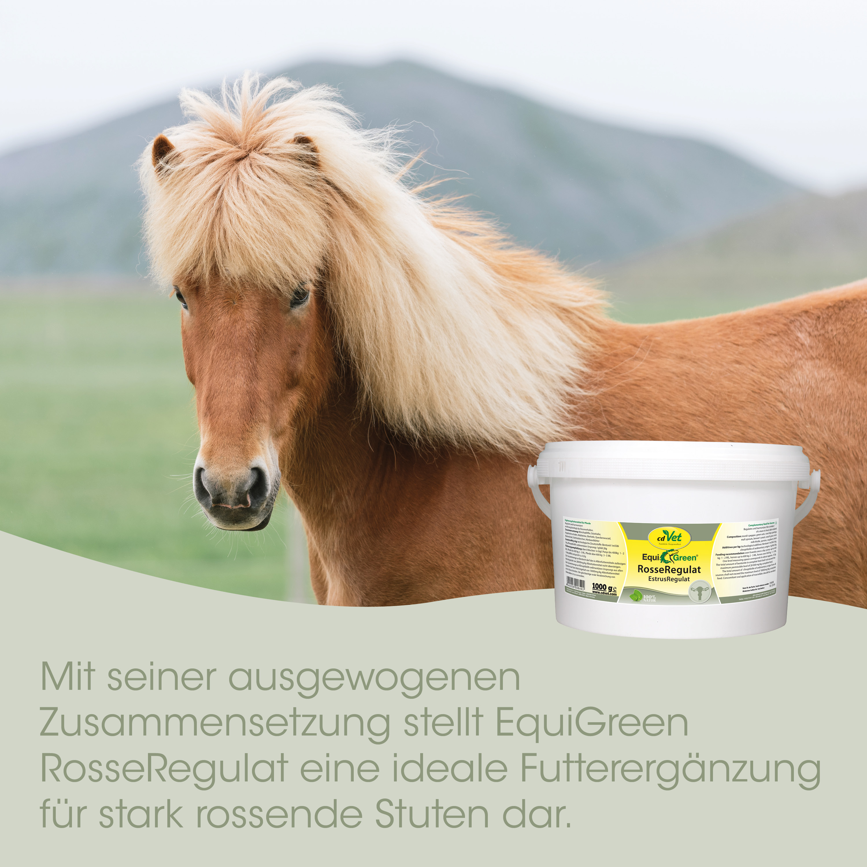 Pony, Pferd, EquiGreen, Futterzusatz, Russe Regulat