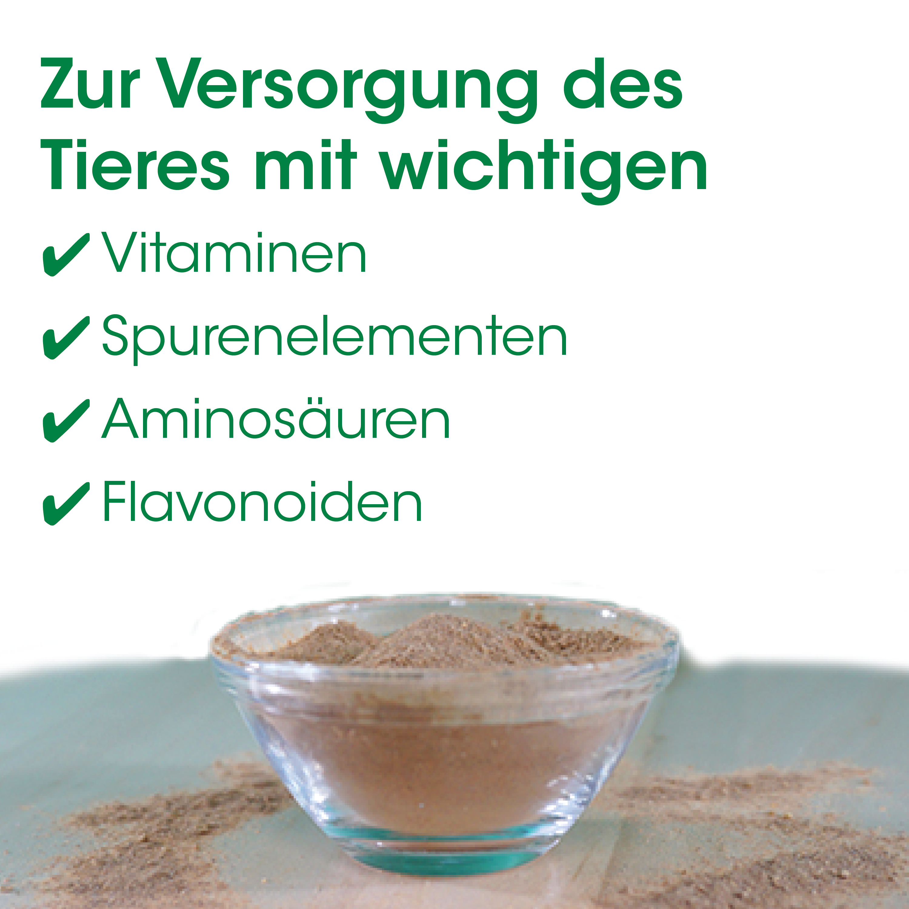Kakao, Gewürzpulver, Rundes Schälchen, Braunes Pulver, Gewürz