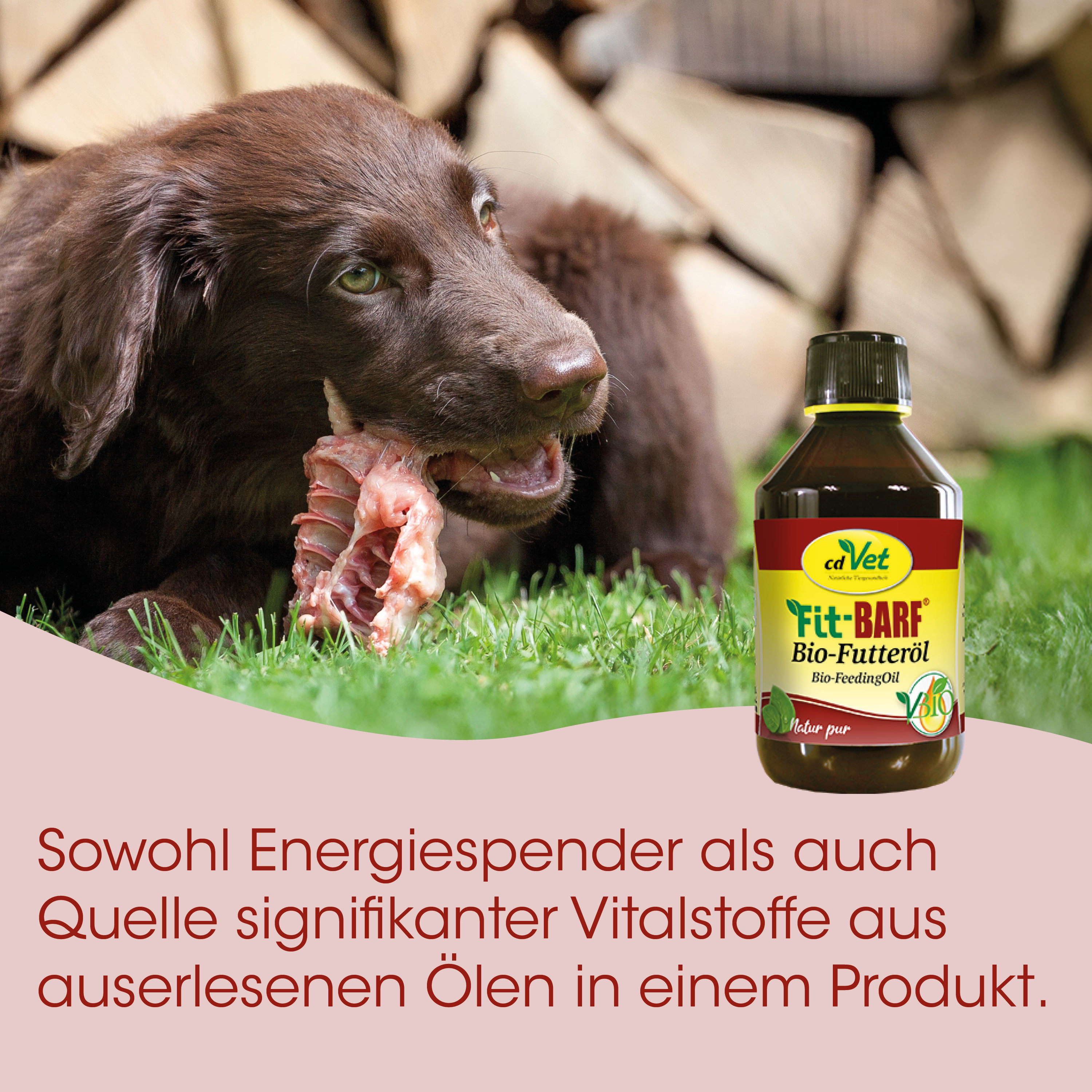 Hund, Knochen, Futteröl, Bio‑Futteröl, Futterprodukt