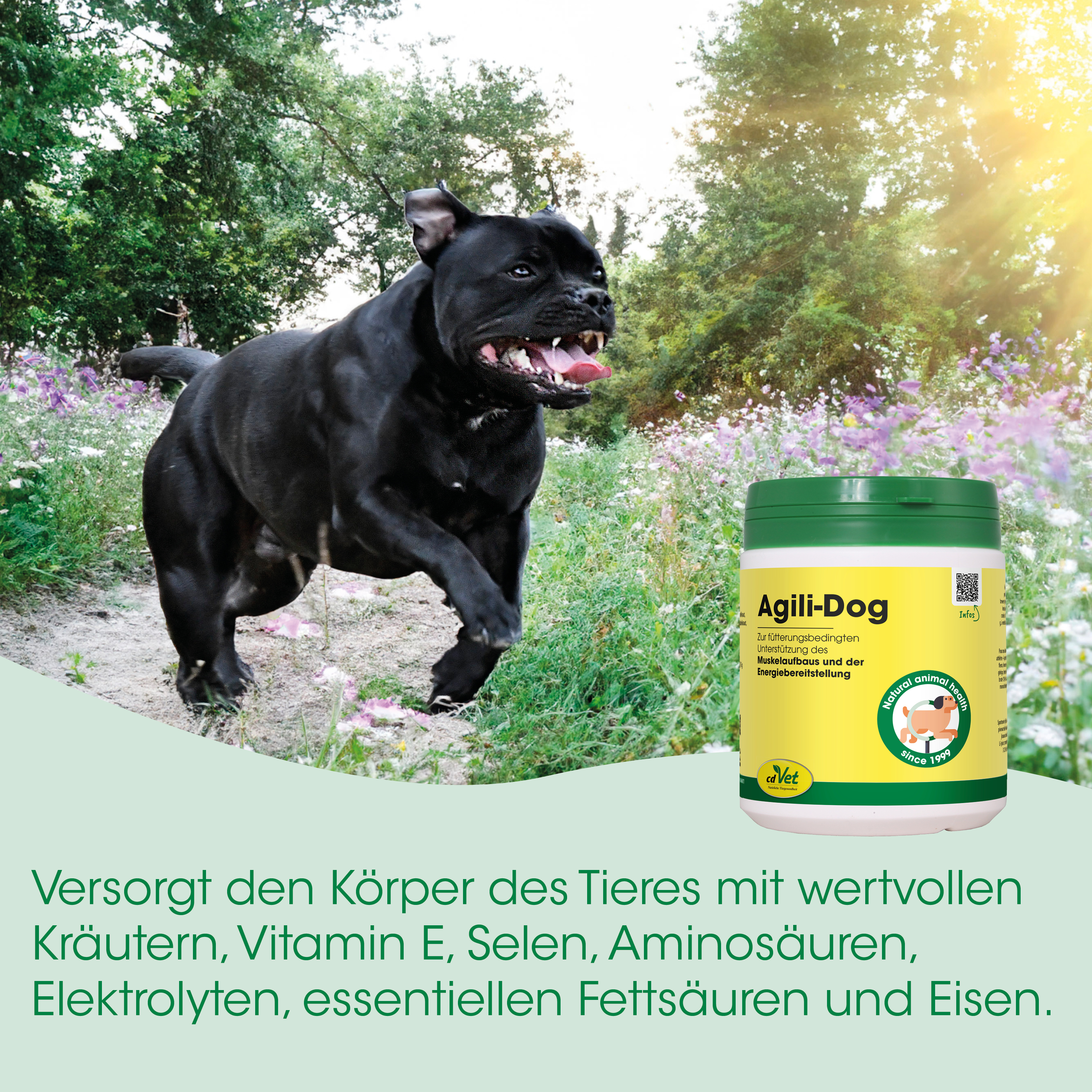 schwarzer hund, Hundeergänzung, gelber Behälter, Tiernahrungsergänzung, pflanzliche Vitamine