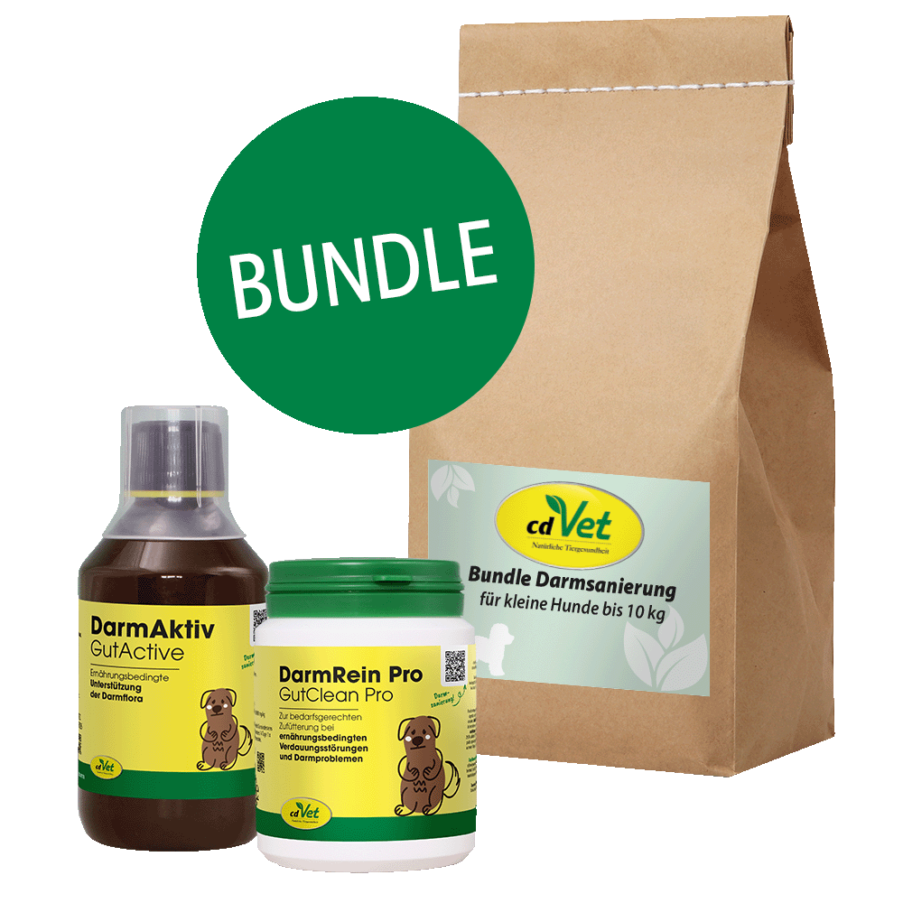 Bundle Darmsanierung für kleine Hunde bis 10 kg Essen, Würzen, Sirup, Kräuterig, Pflanze