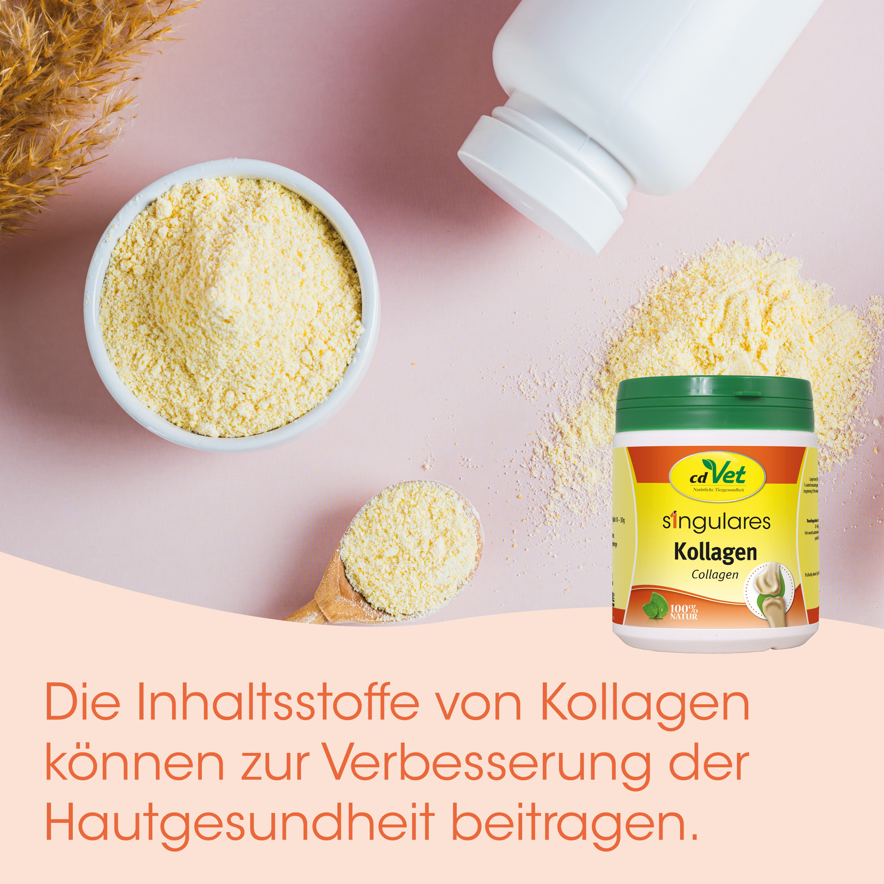 Kollagen, Pulver, Hautpflege, Nahrungsergänzung, Kapsel