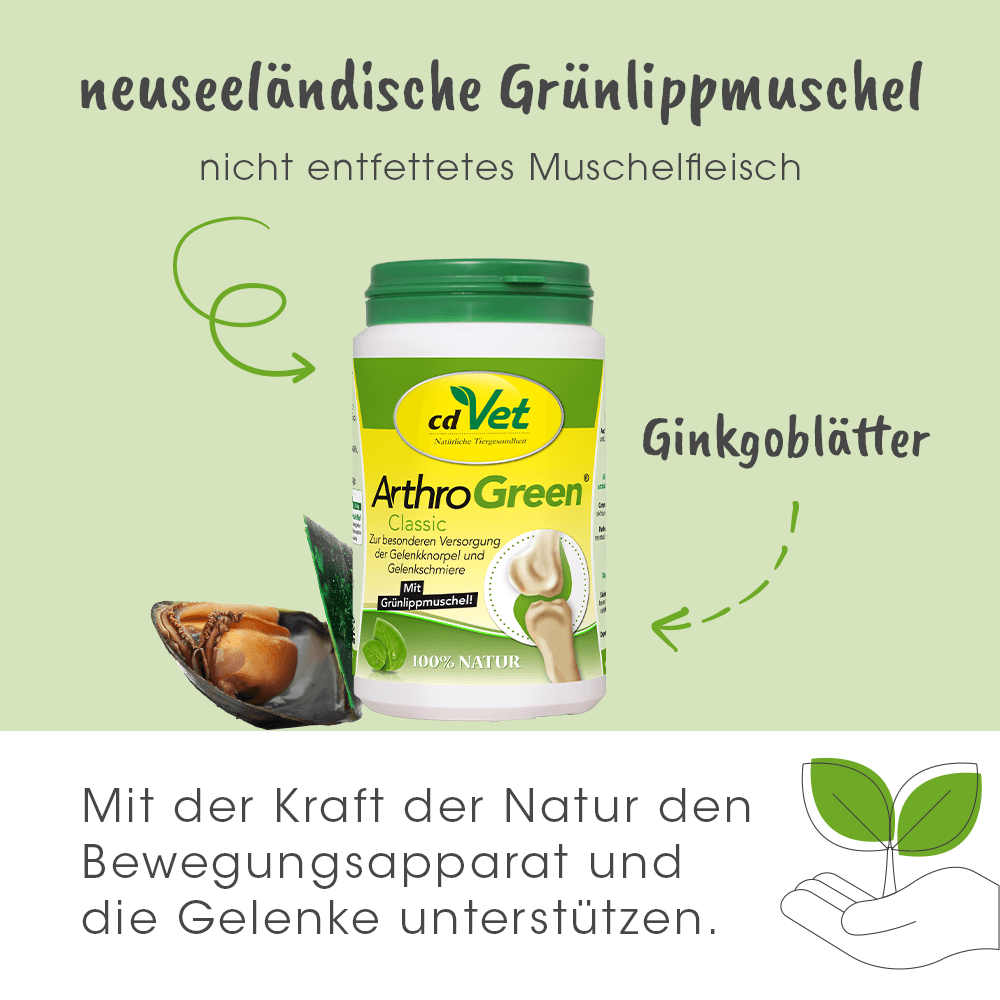 Ginkgo-Blätter, Gelenkschmieren Unterstützung, ArthroGreen Classic, Vitamin-Nahrungsergänzung, Grünlippmuschel