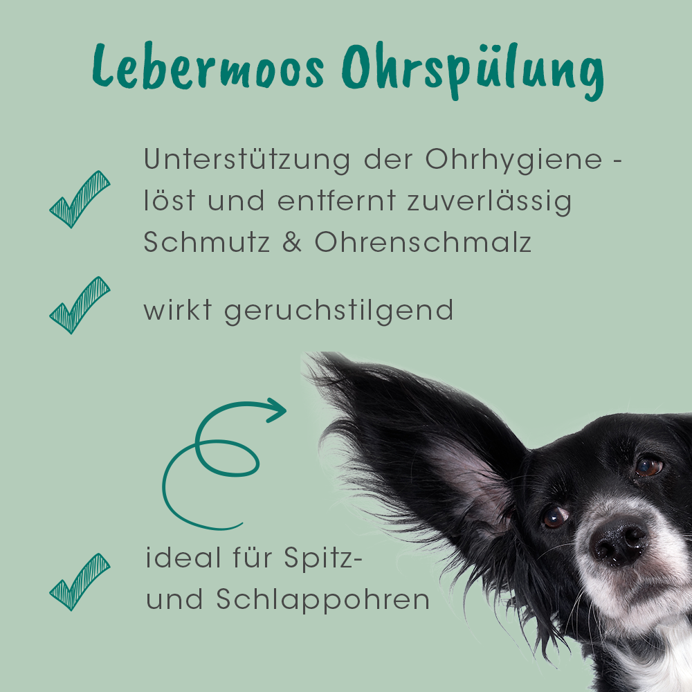 VeaVet Lebermoos Ohrspülung 100 ml