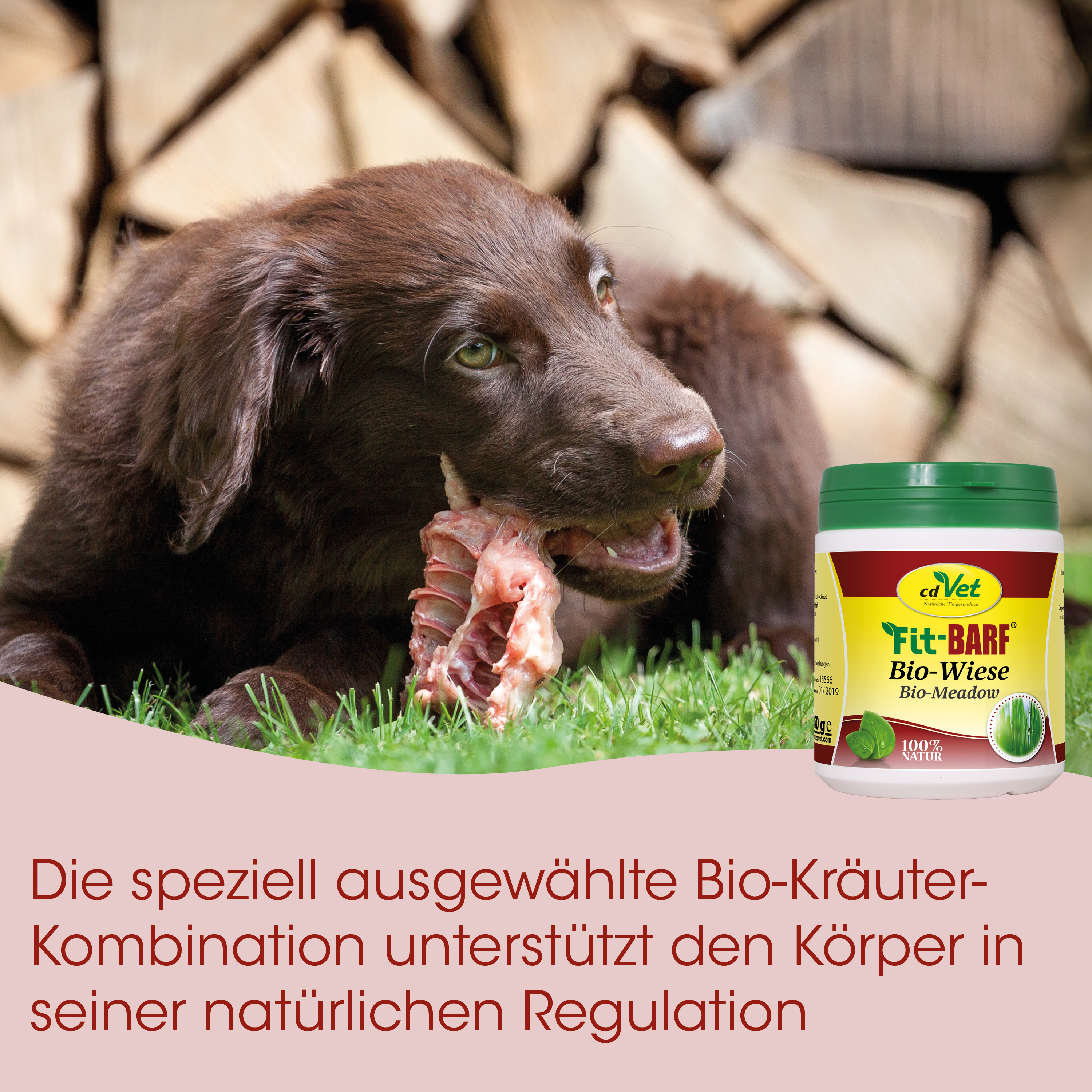 Schäferhund?, Braun Hund, Kauartikel, Bio-Kräuter, Tierfutter