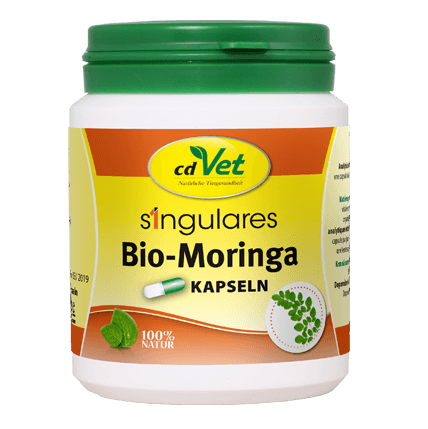 Bio-Moringa, Kapseln, Tiernahrung, Naturprodukt, Vitamine