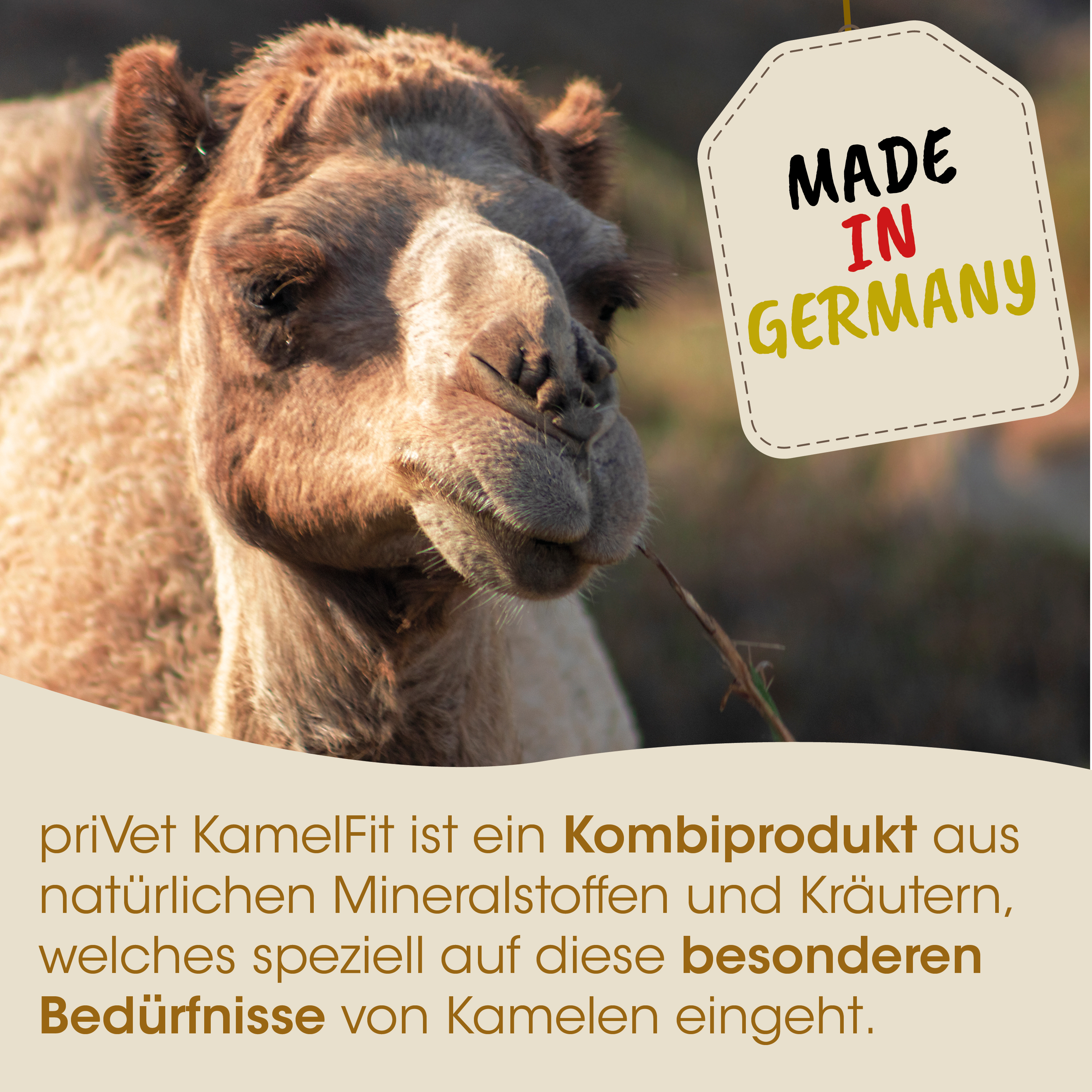 Kamel, Kamelprodukt, Naturmaterialien, Kräuter, Tierbild