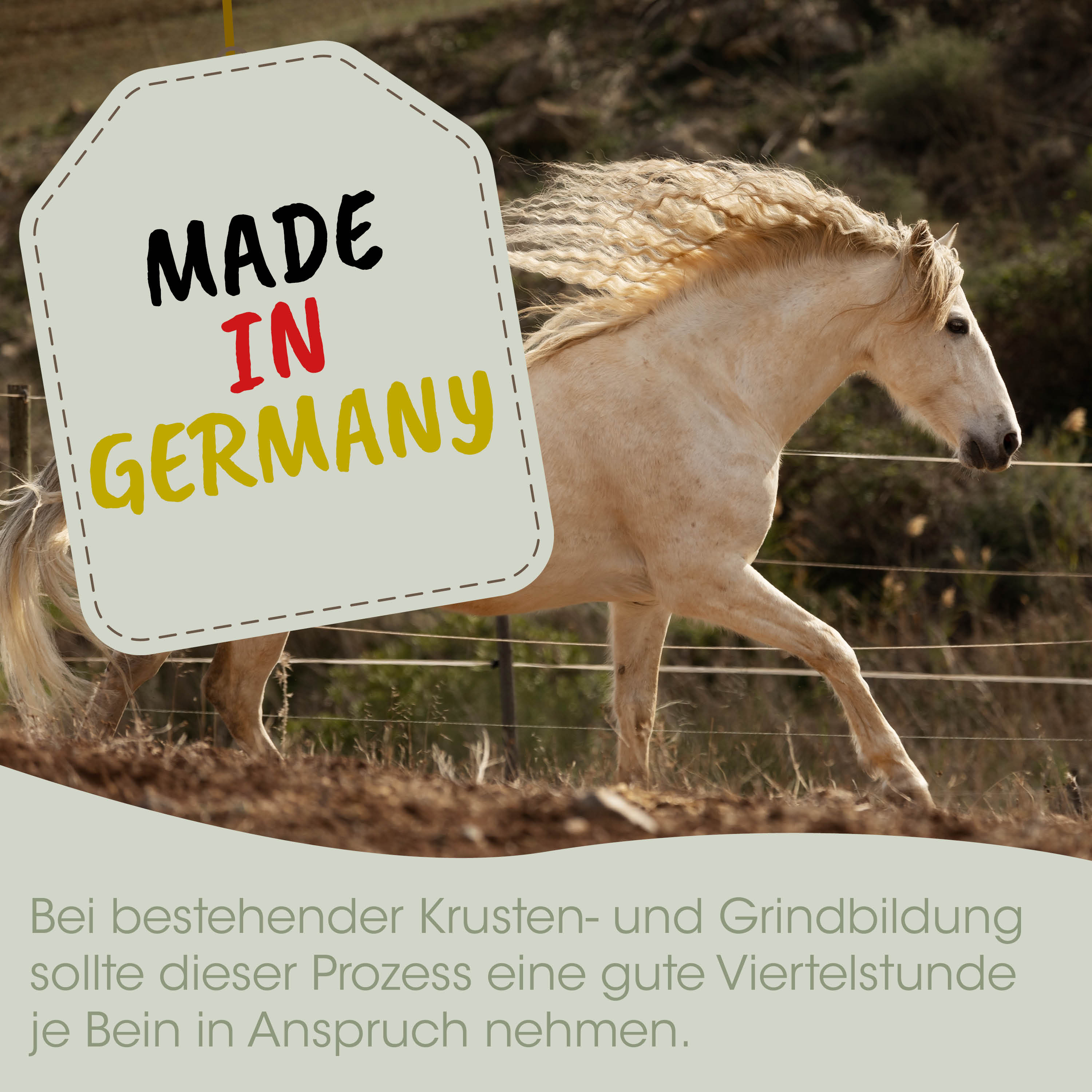 Pferd, Krustenbildung, reittraining, Pferdehaltung, Krustensbildung