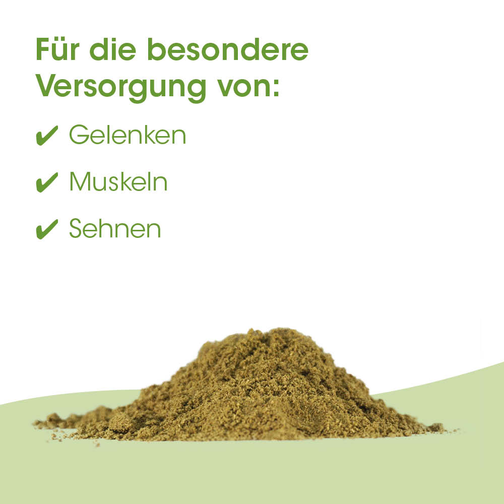 Kräuterpulver, Gewürz, Mehlart, Naturprodukt, Pulver