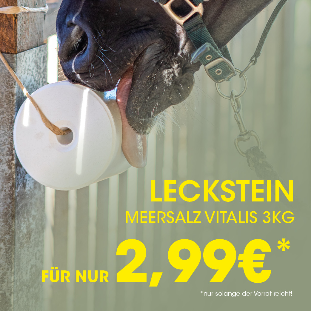 Schnauze, Werbung, Plakat, Schnauze
