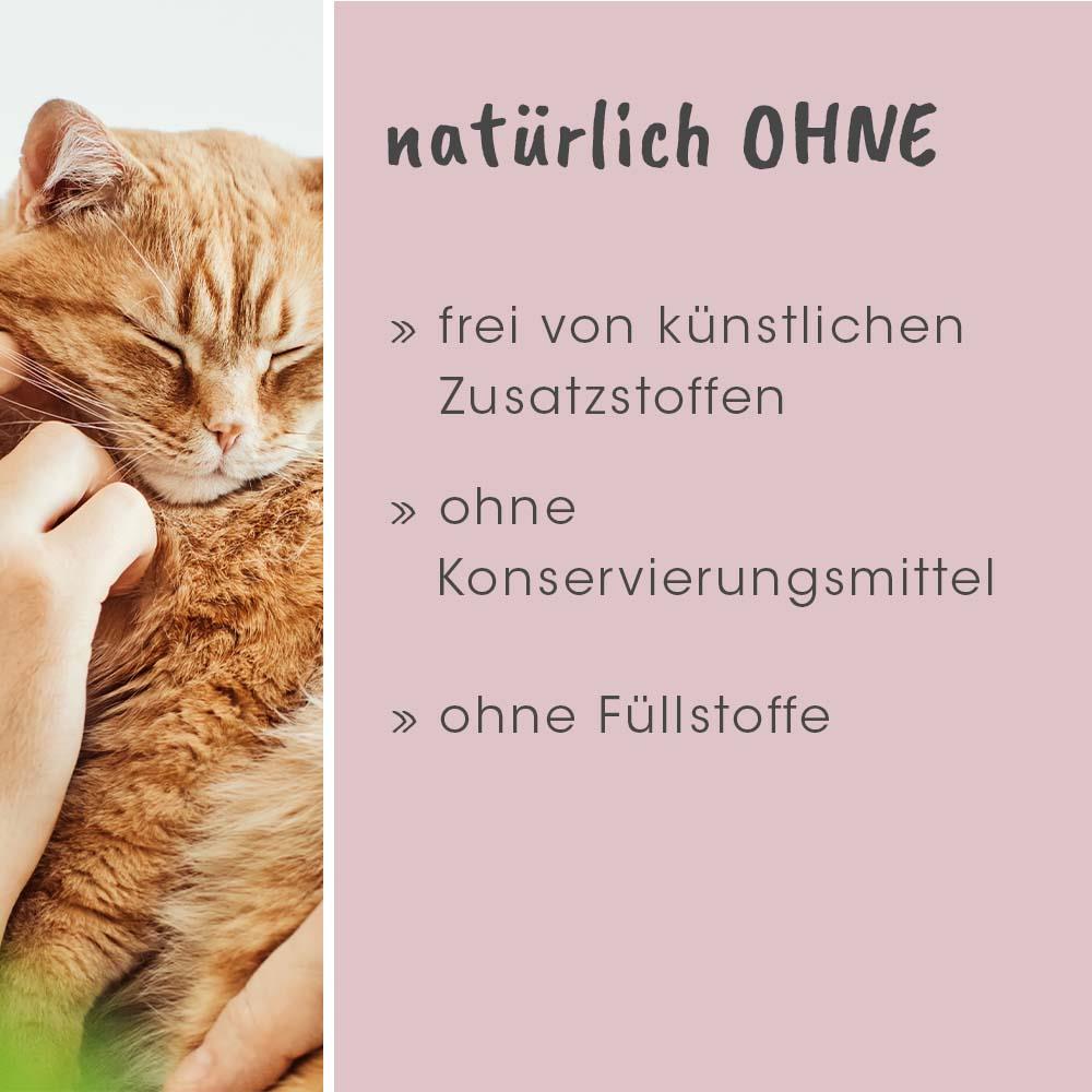 feliTATZ GeruchsStopp 5 L (Nachfüllkanister)