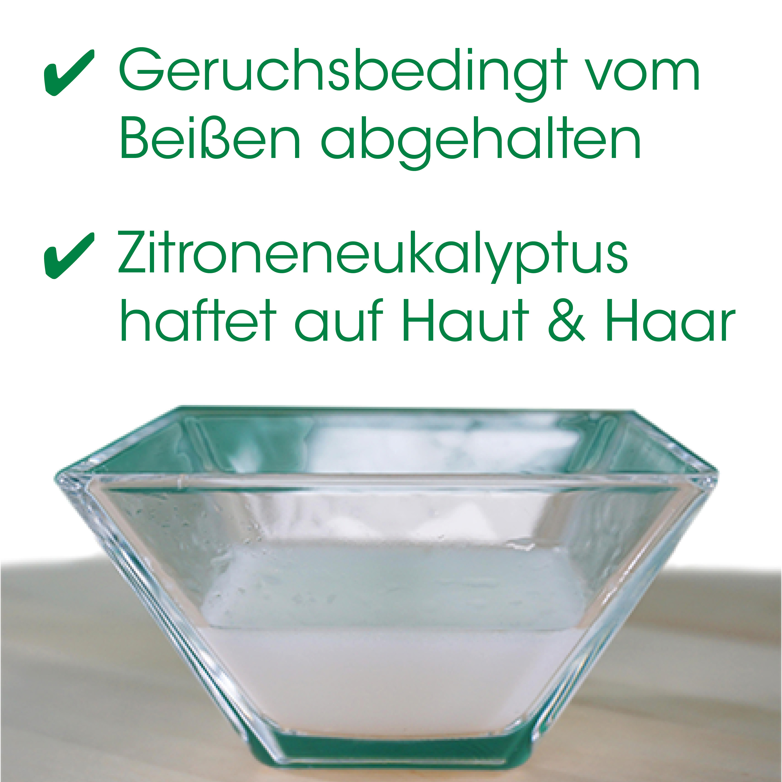 Glasgefäß, Schale, Quadratische Form, Transluzentes Glas, Bartenschutz?