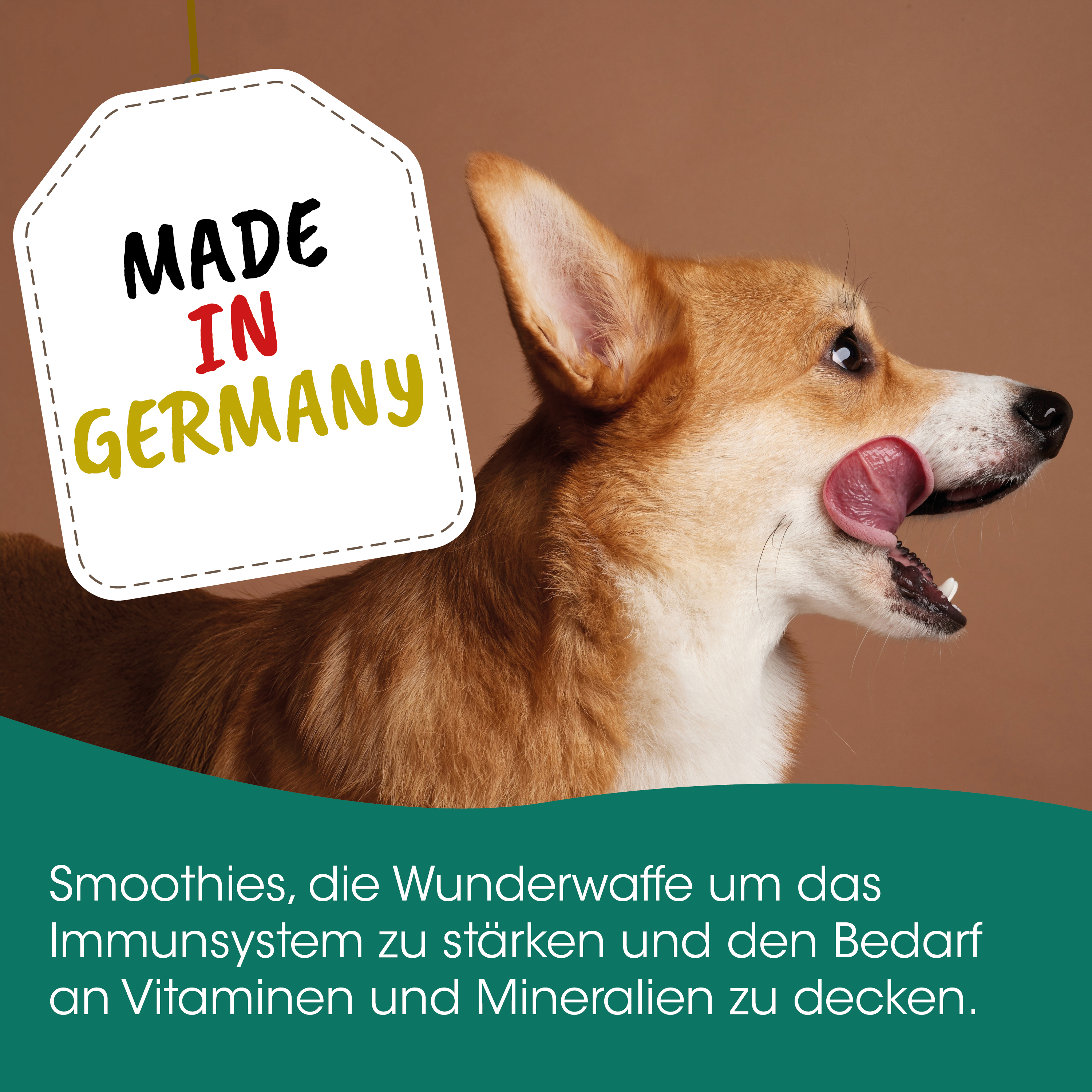 Hunde-Poster, Made in Germany, Hund, Smoothie, Immunstärkung