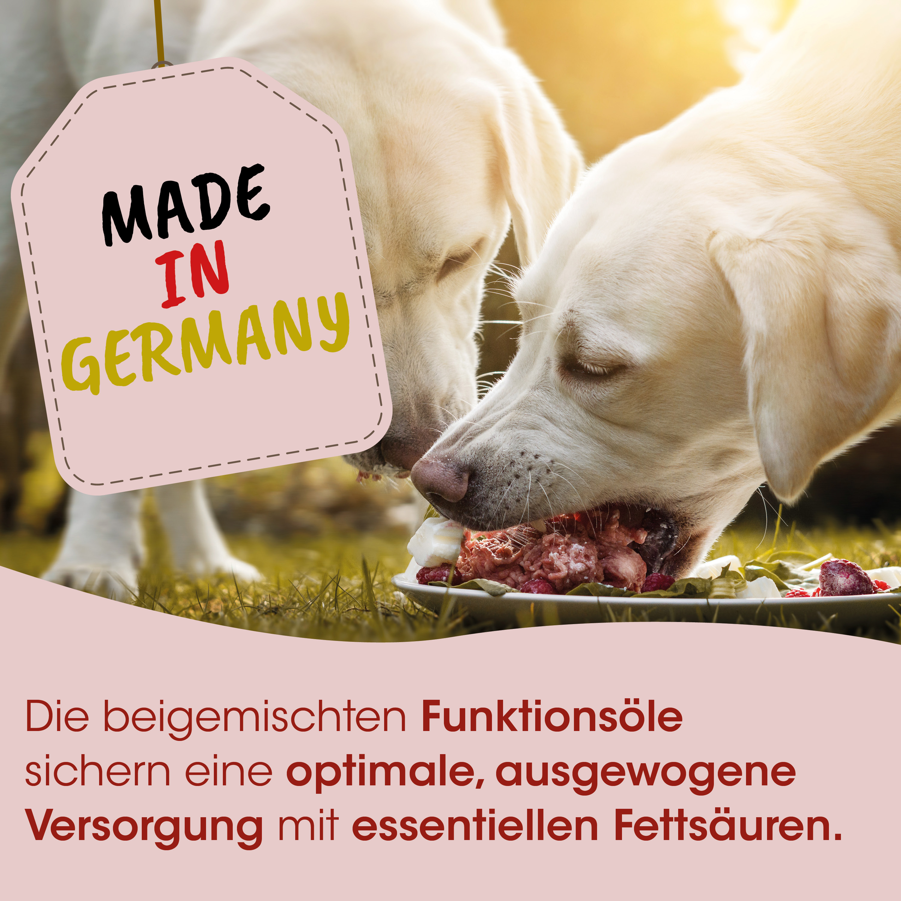 Hundeernährung, Fleischfutter, Hundefutter, Futterplatte, Made in Germany