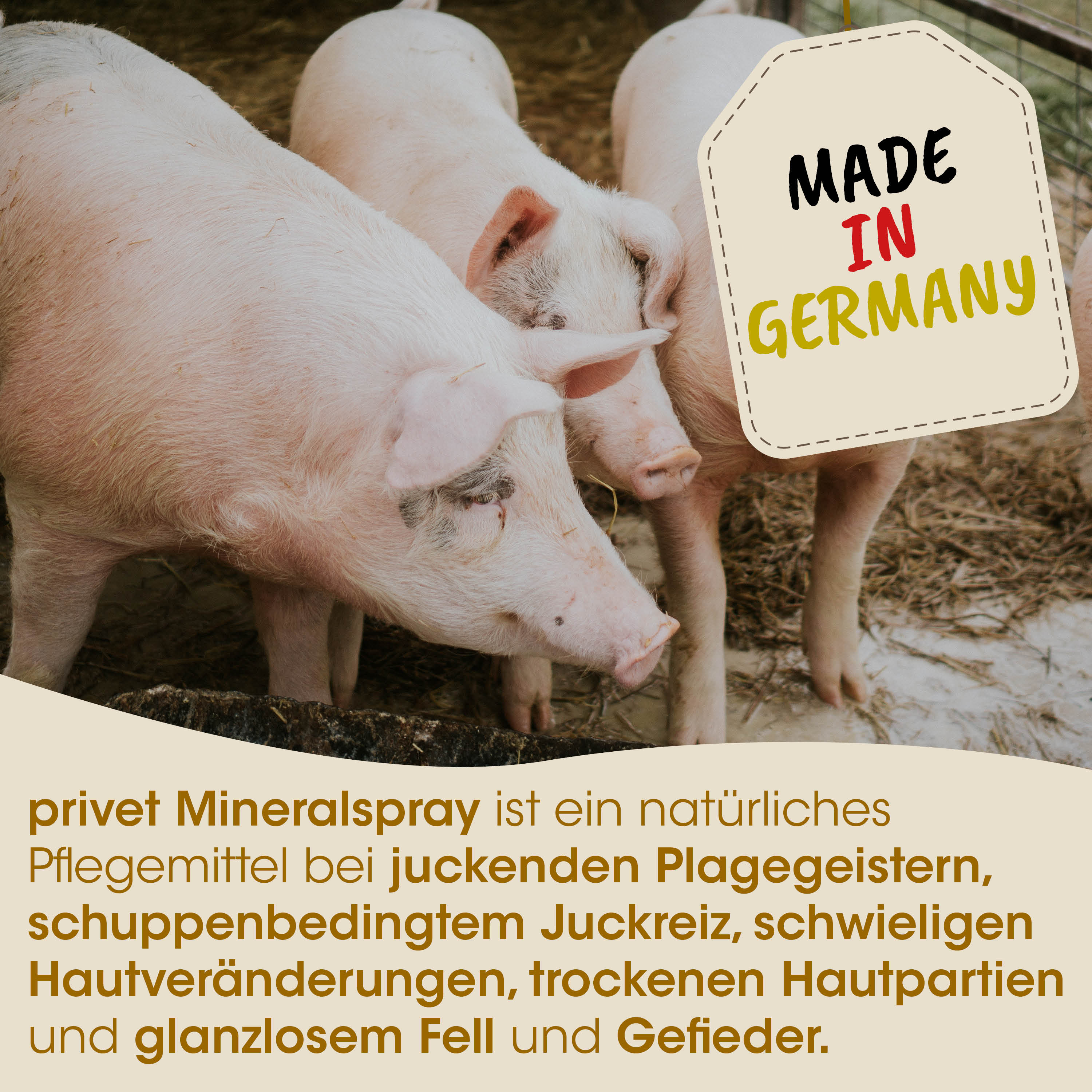 Schwein, Schweine, Tierfutter, Hergestellt in Deutschland, Pflegeprodukt