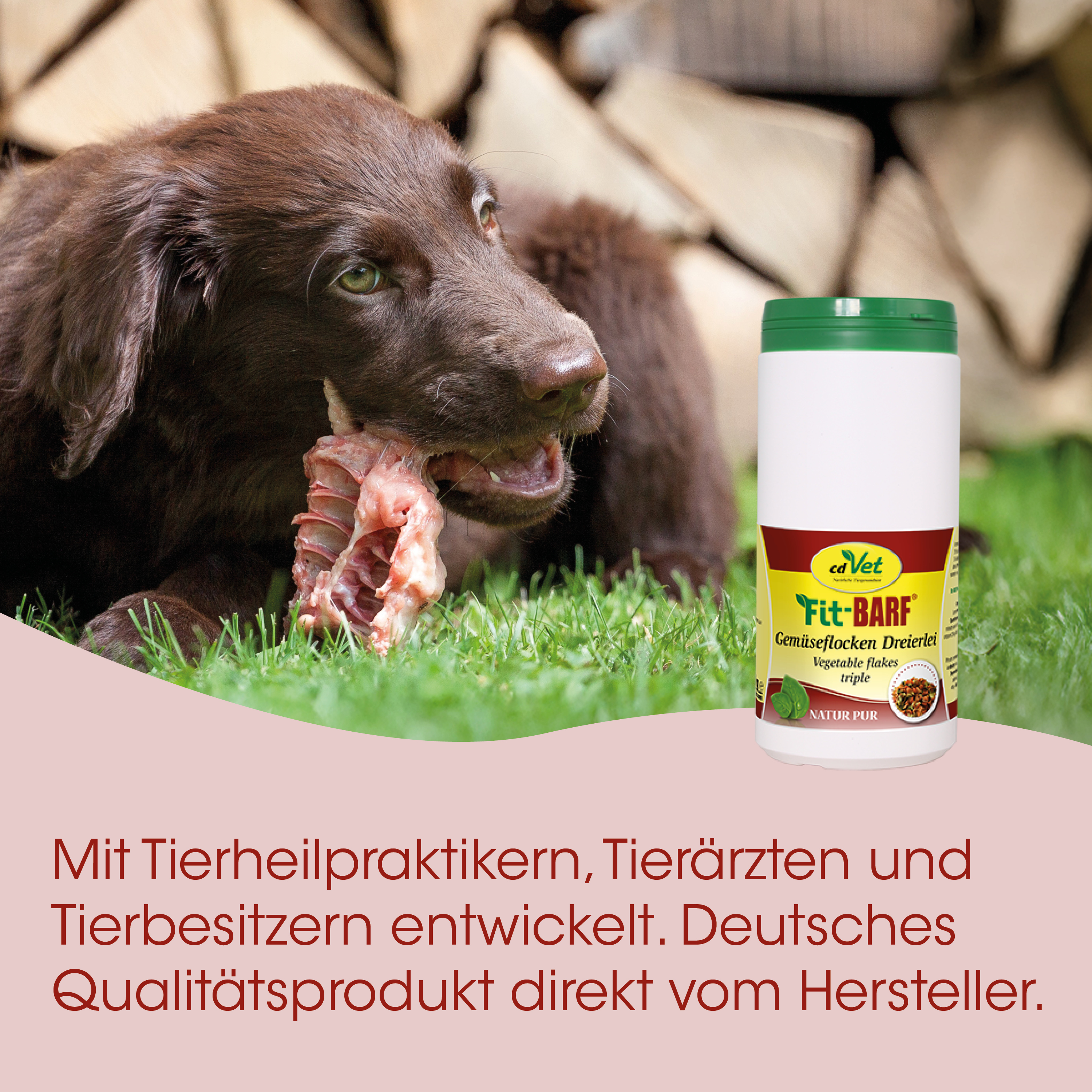 Hund, Knochen, Hunde-Nahrung, Gemüse-Flocken, Futterbehälter