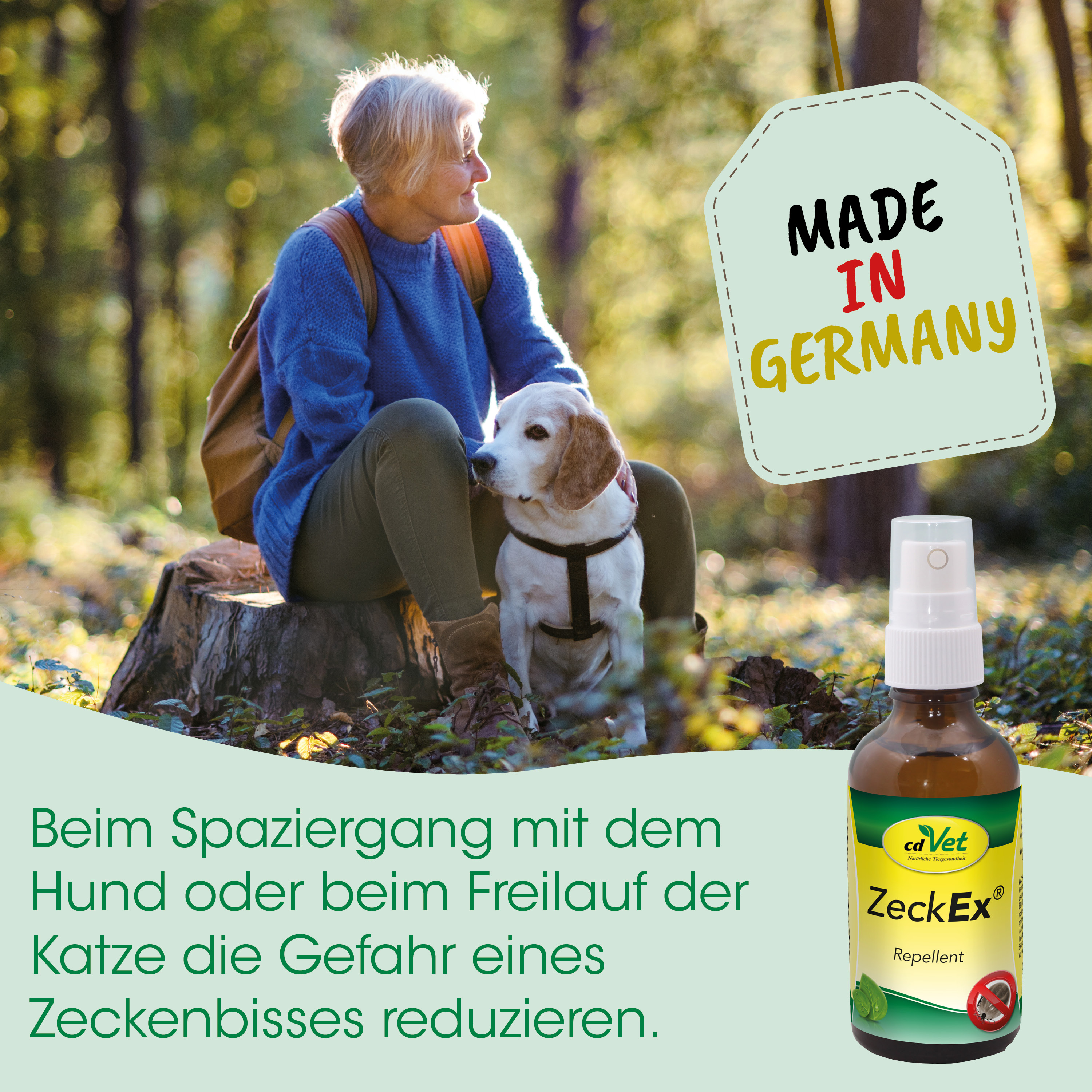 tags, hund, hundel, etikett, bild