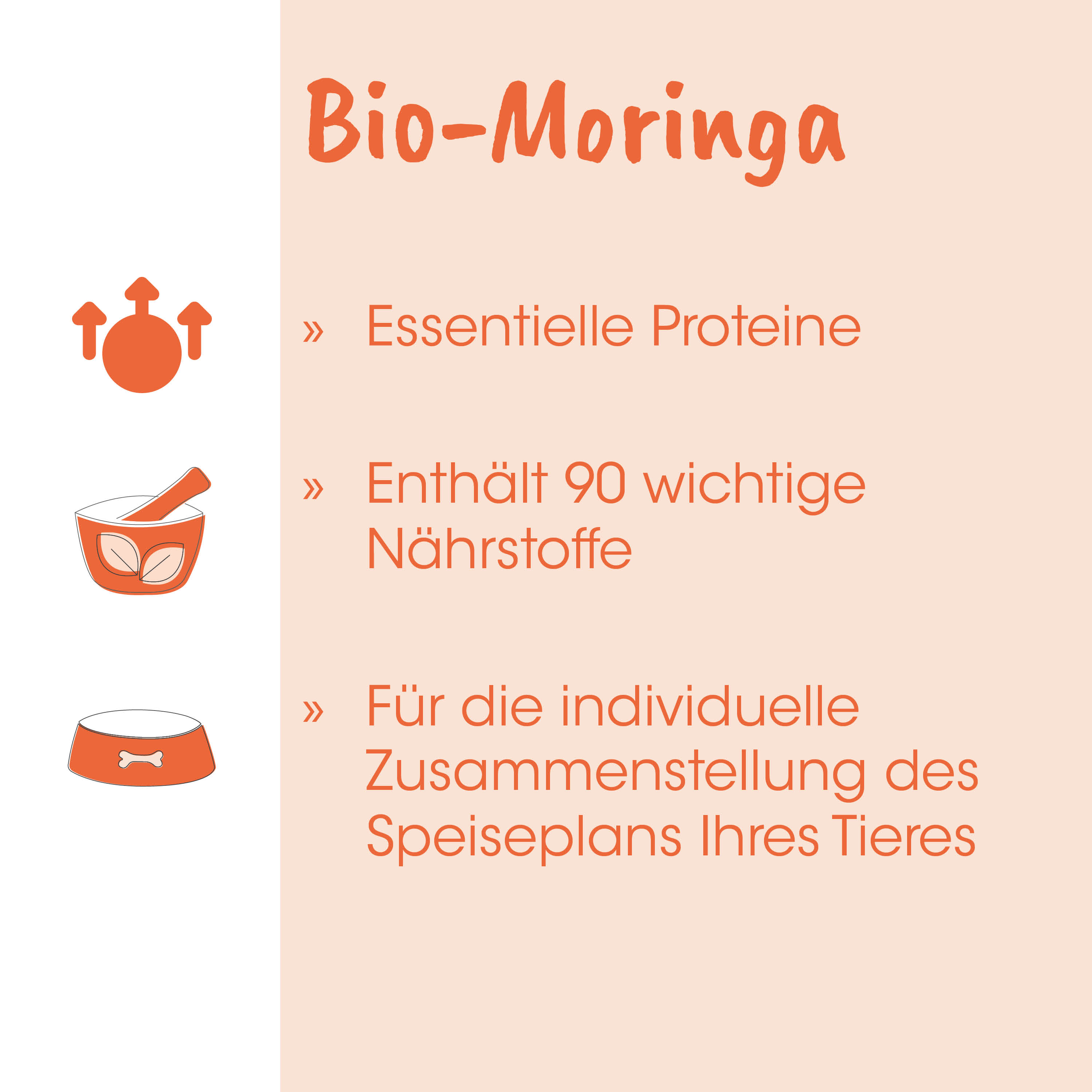 Bio-Moringa, Essentielle Proteine, Nährstoffreich, Tierfutter, Hunde-Futterschüssel