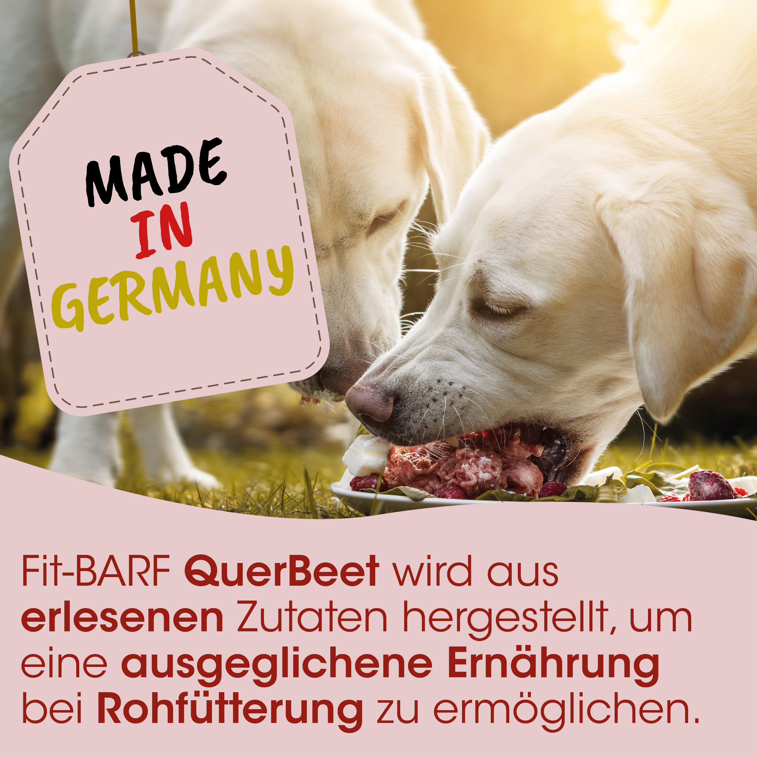 Hund, Hunde-Nahrung, Knochenmahlzeit, Fleisch, Made in Germany