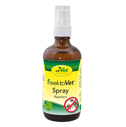 Würzen, Sirup, Lotion, Kräuterig, Parfüm